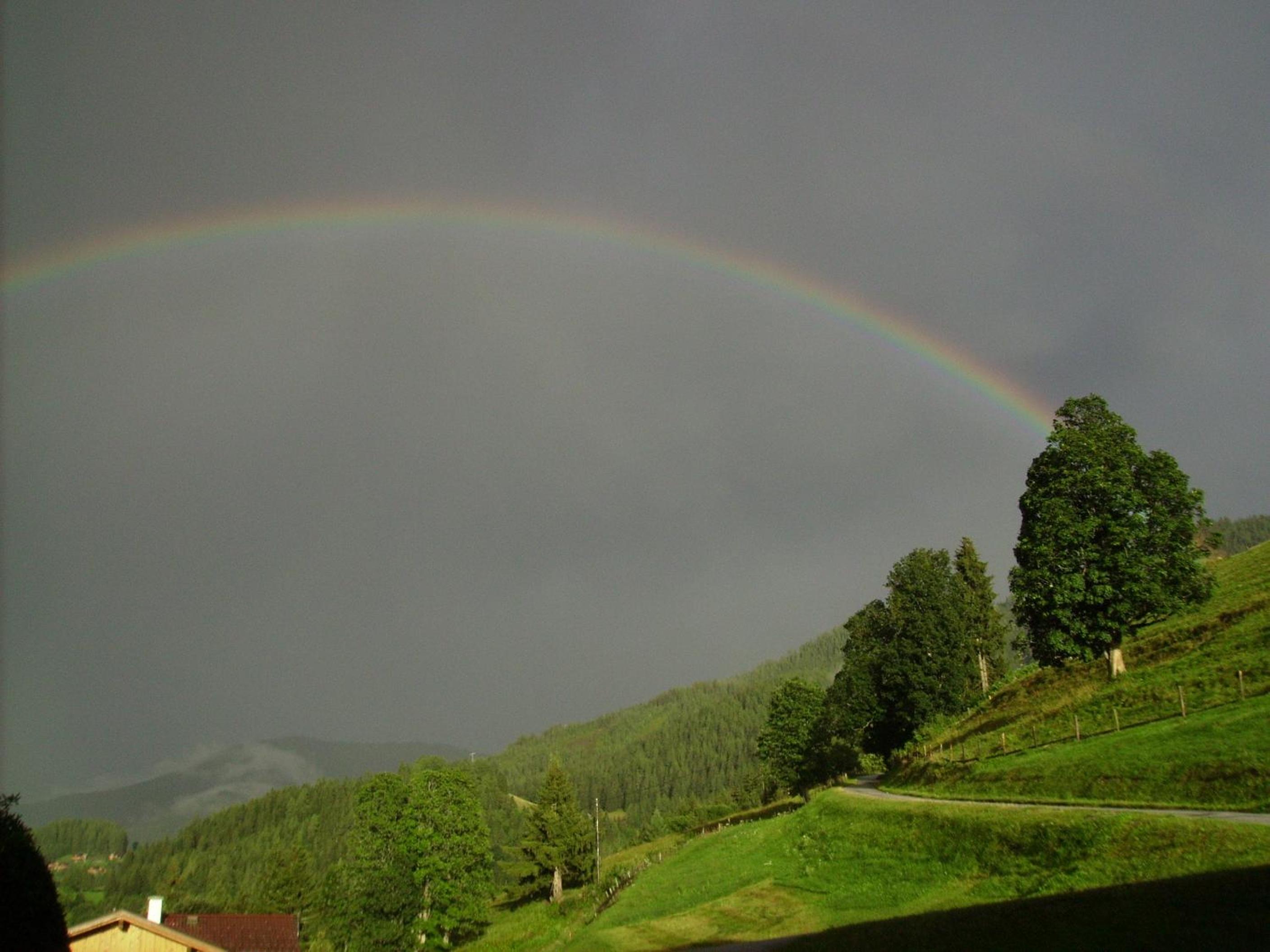 Rainzhof