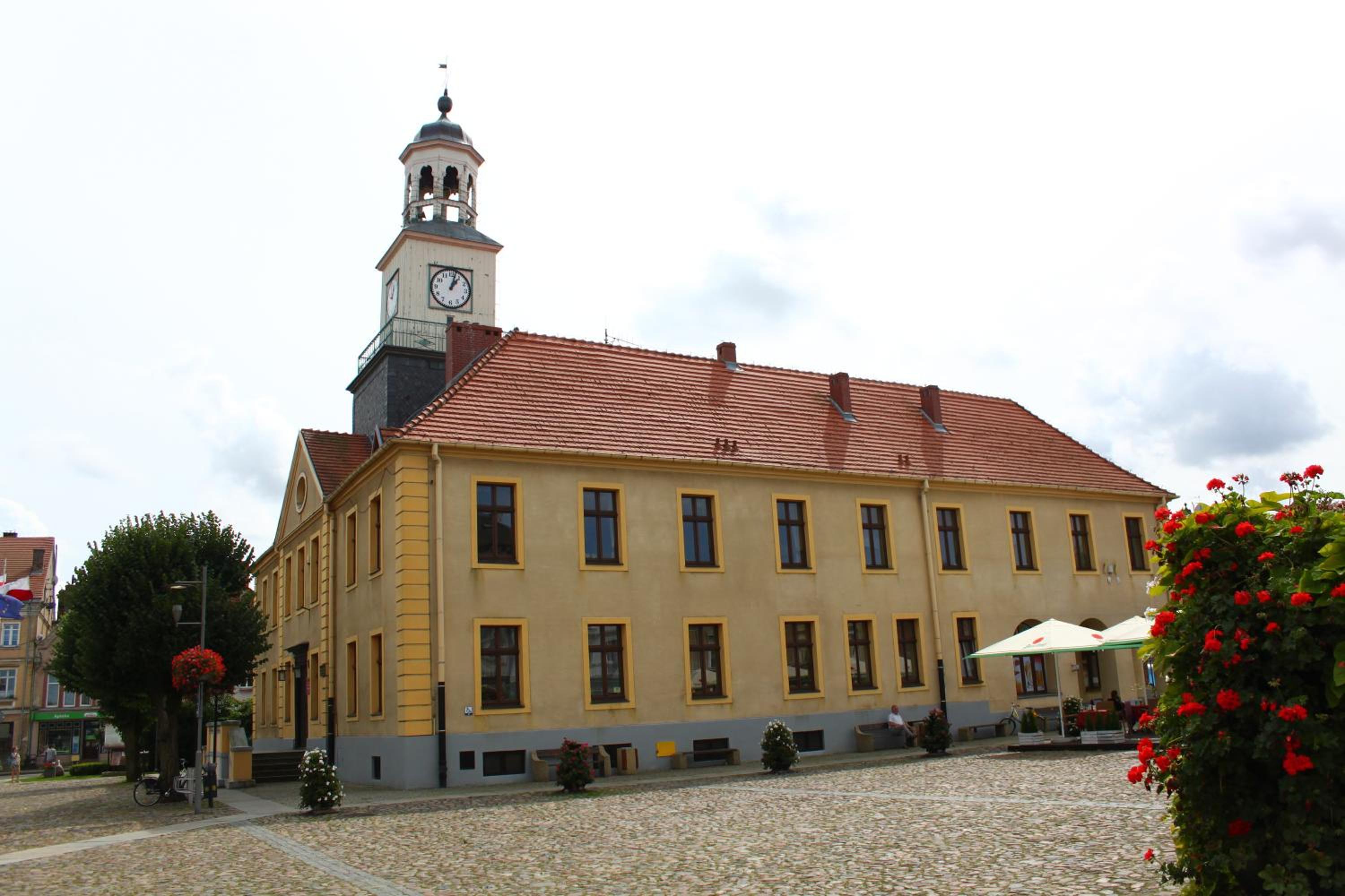 Photo 11