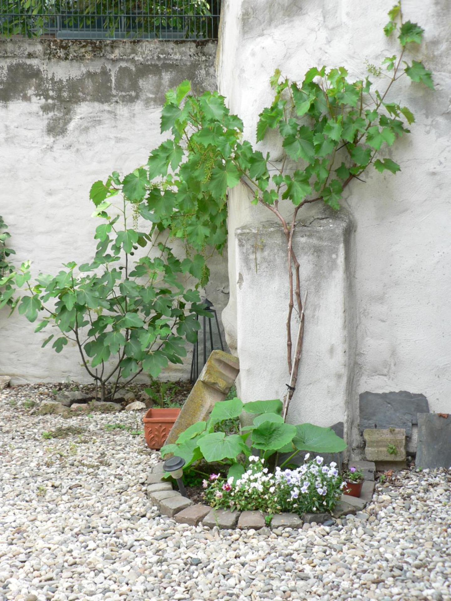 Gästehaus Cheval Blanc view 5