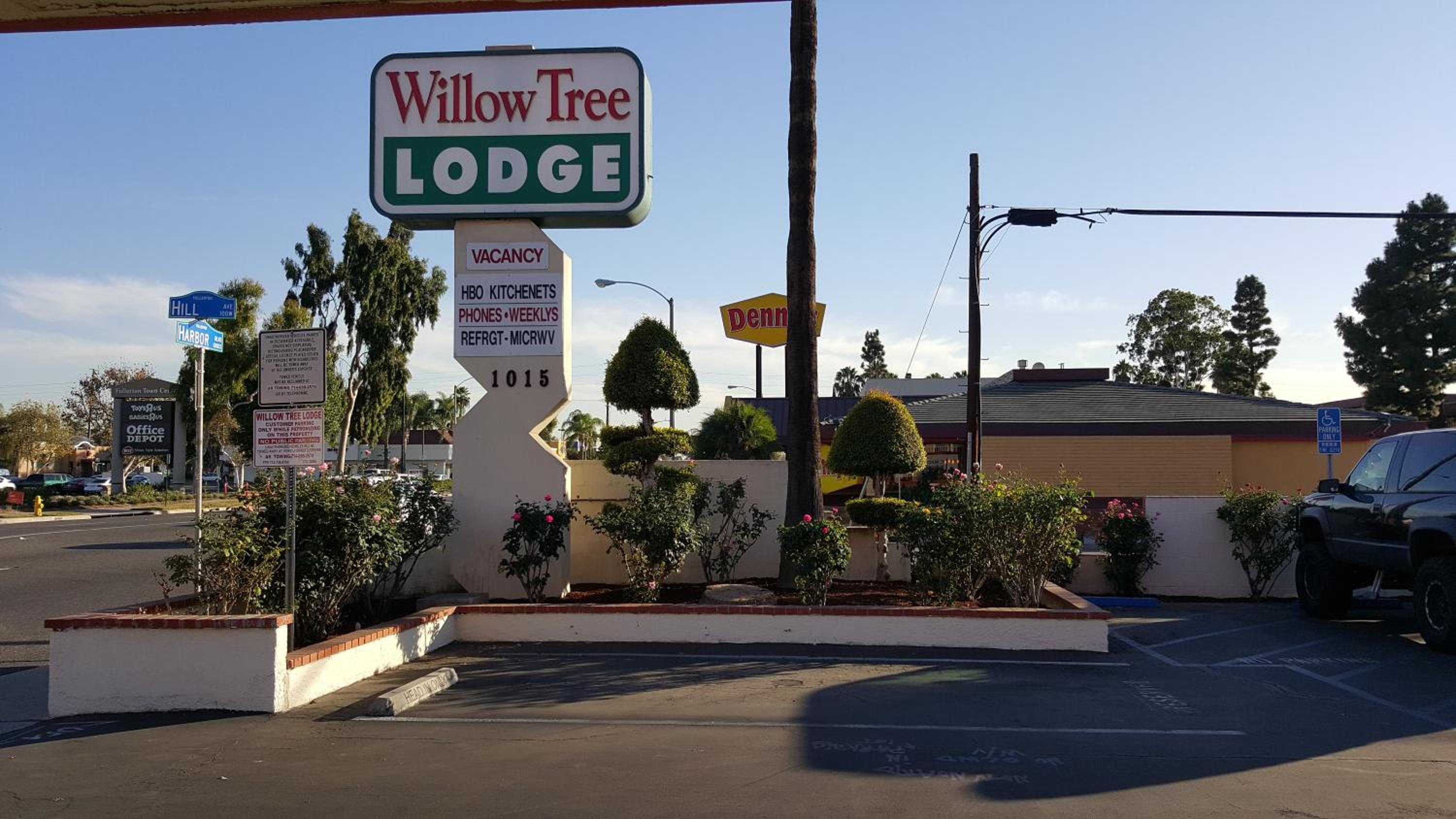 Willow Tree Lodge