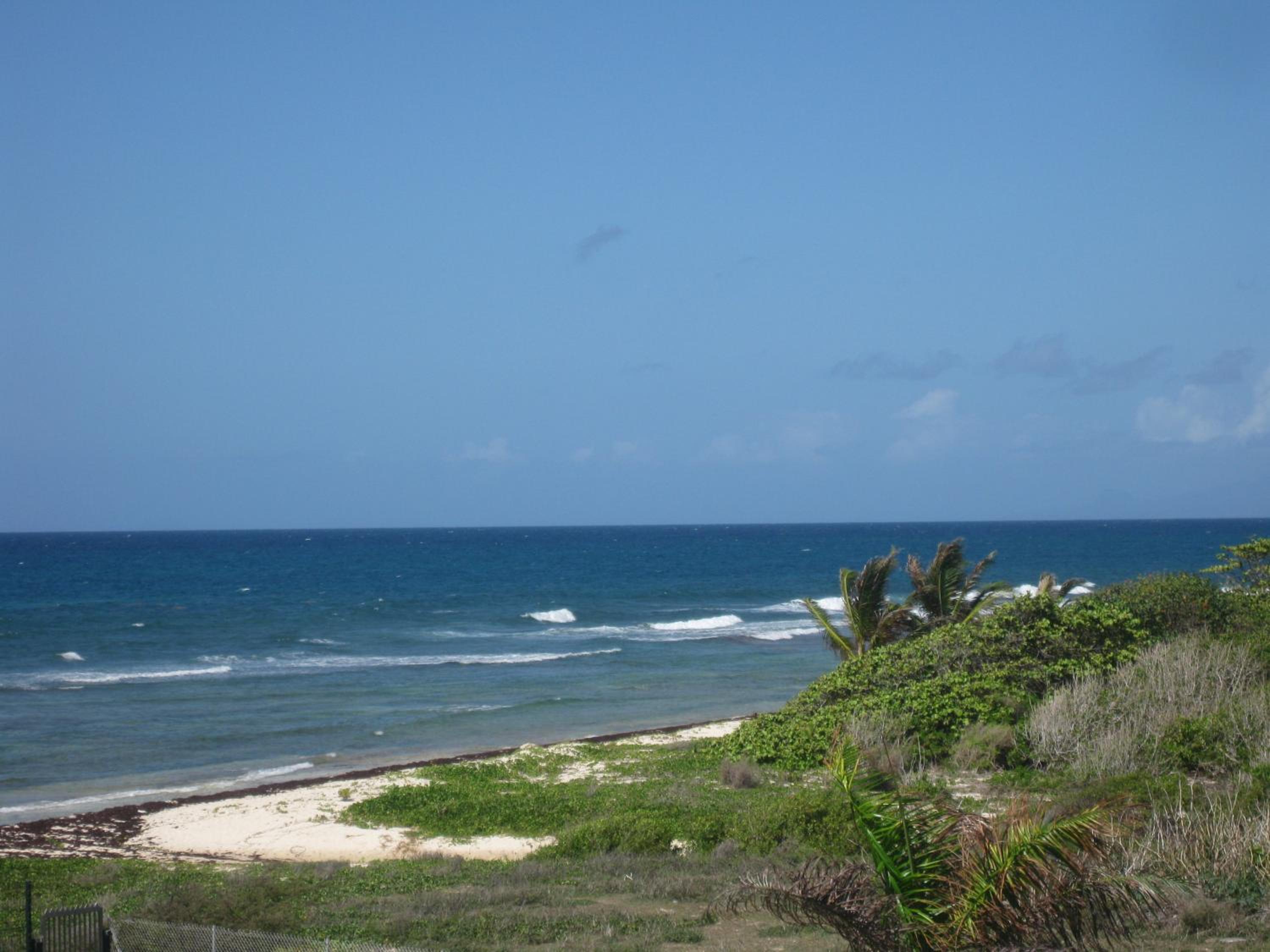 Photo 25