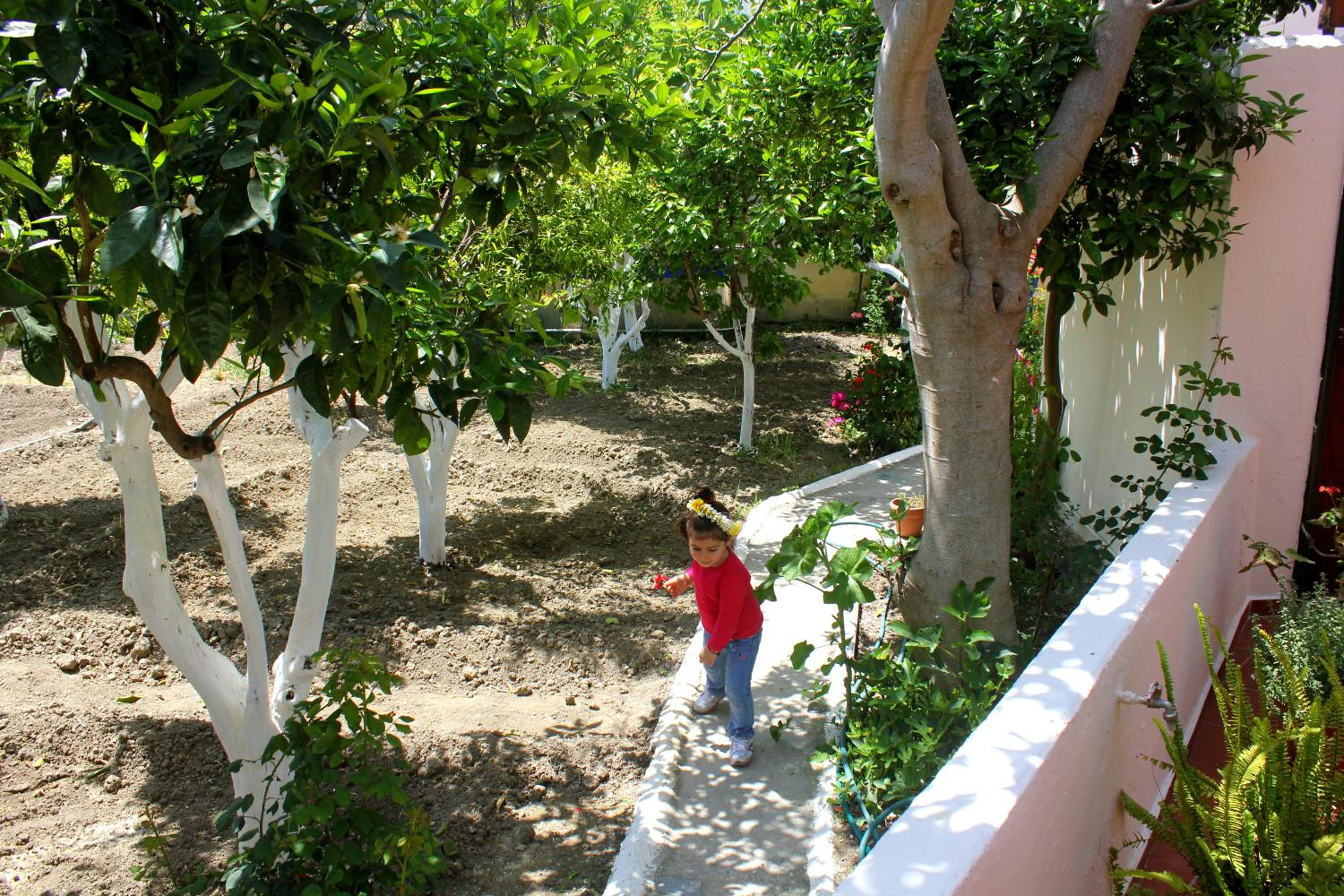 Photo 21