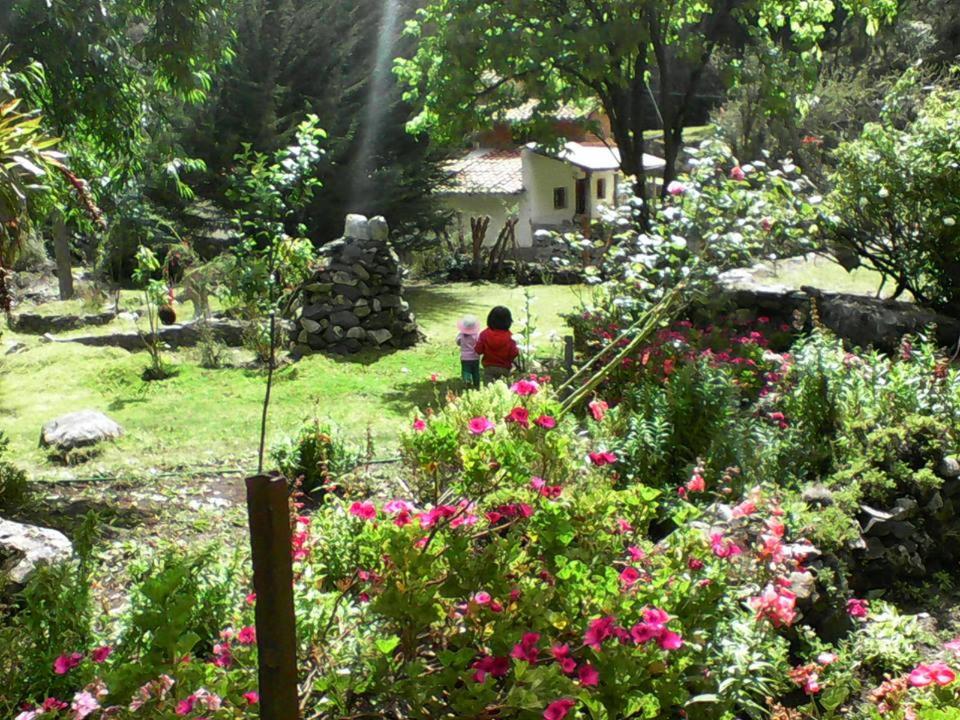 Hospedaje Illariy