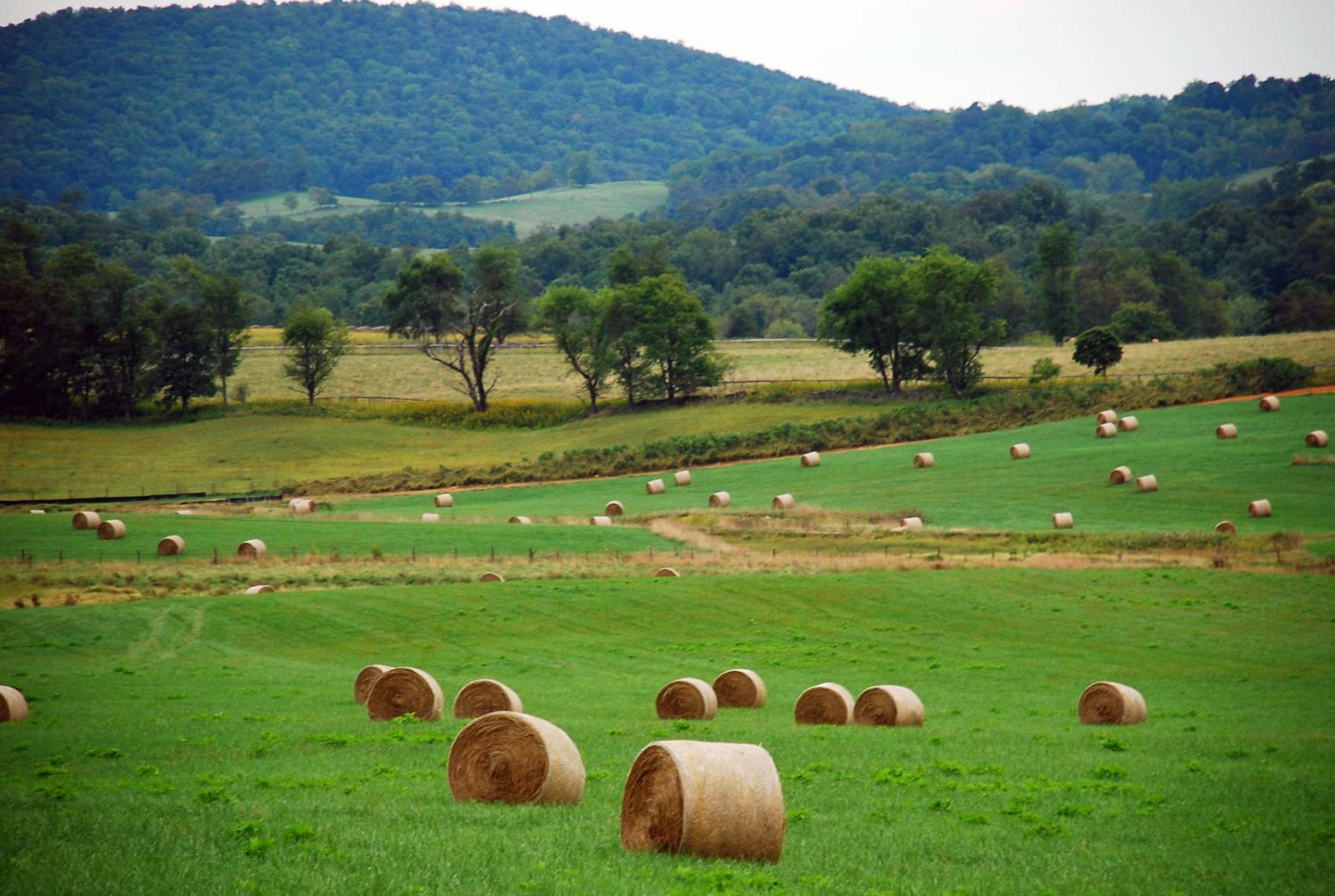 Villa Maud - Property Image 54