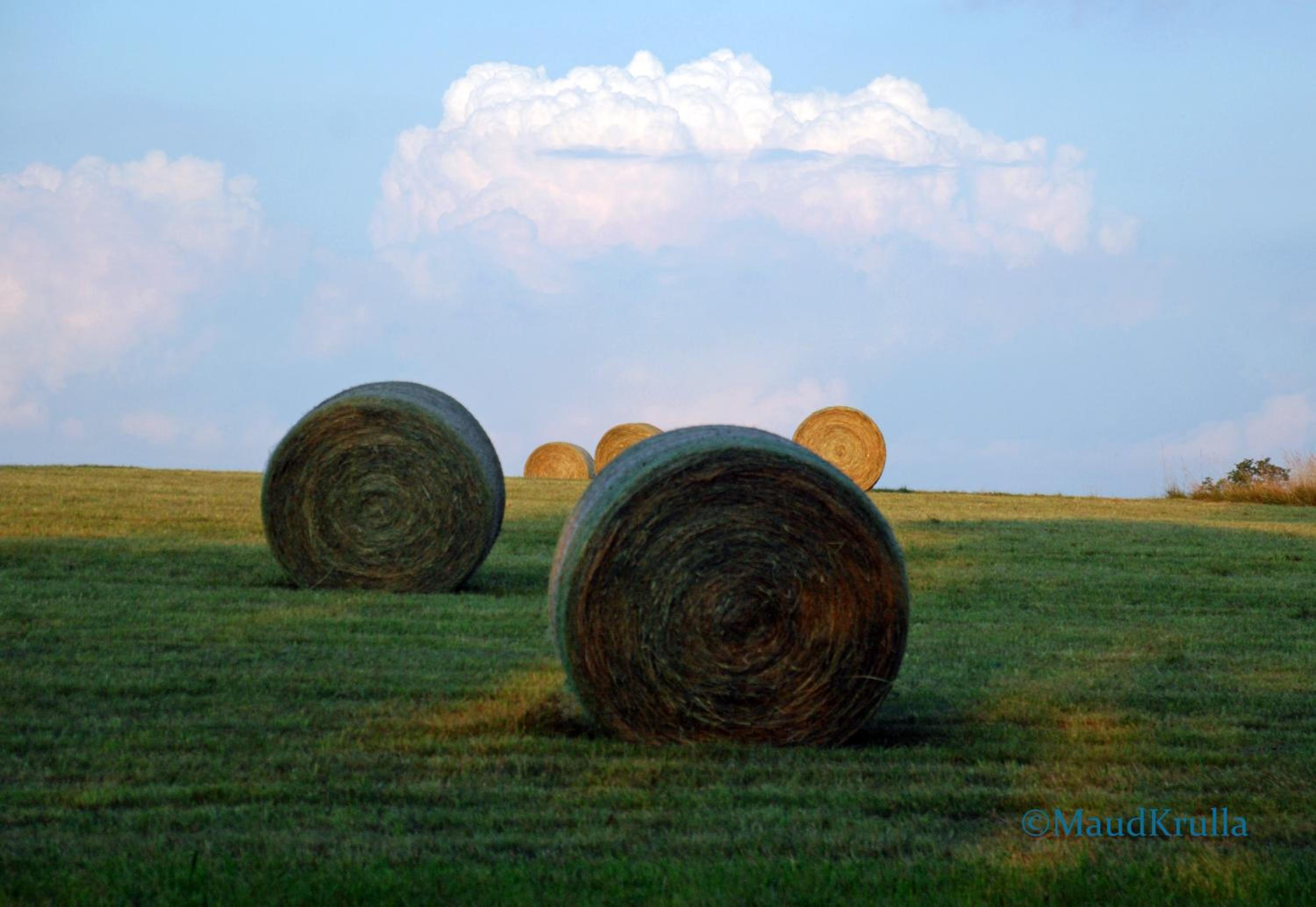 Villa Maud - Property Image 53
