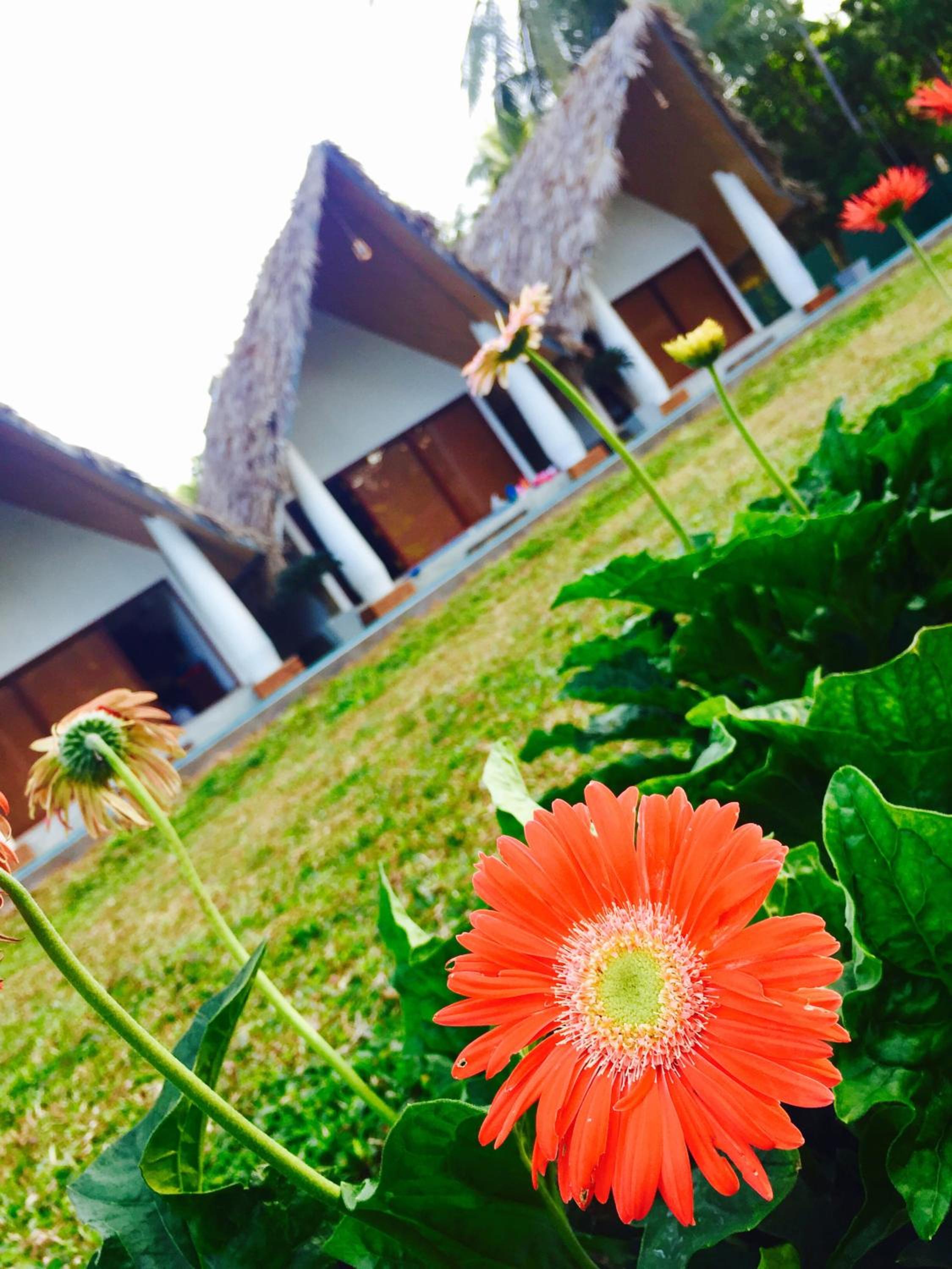 Airport Resort