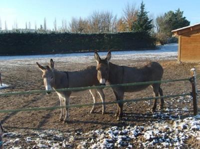 La Milane, photo 15