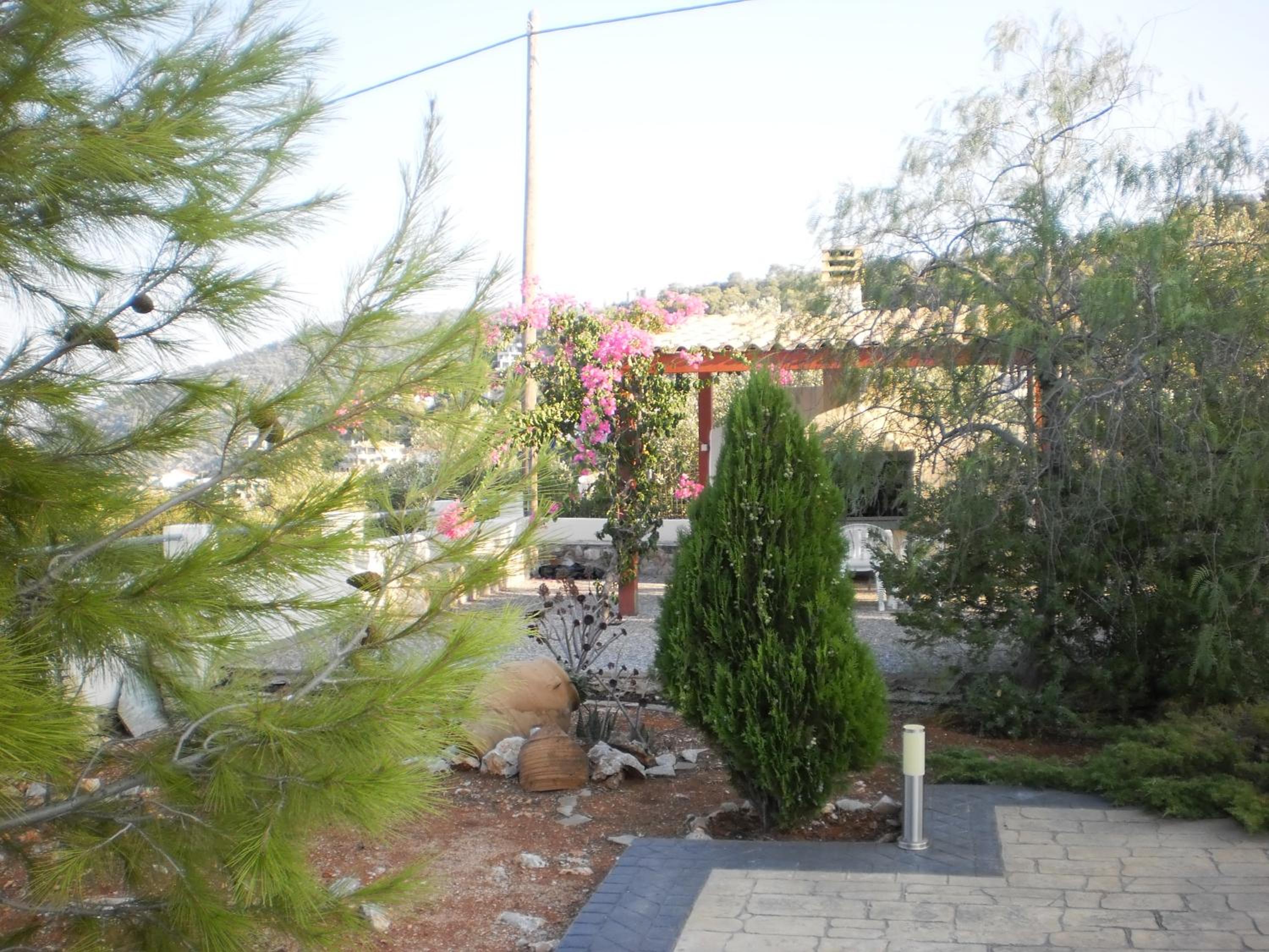 Photo 21