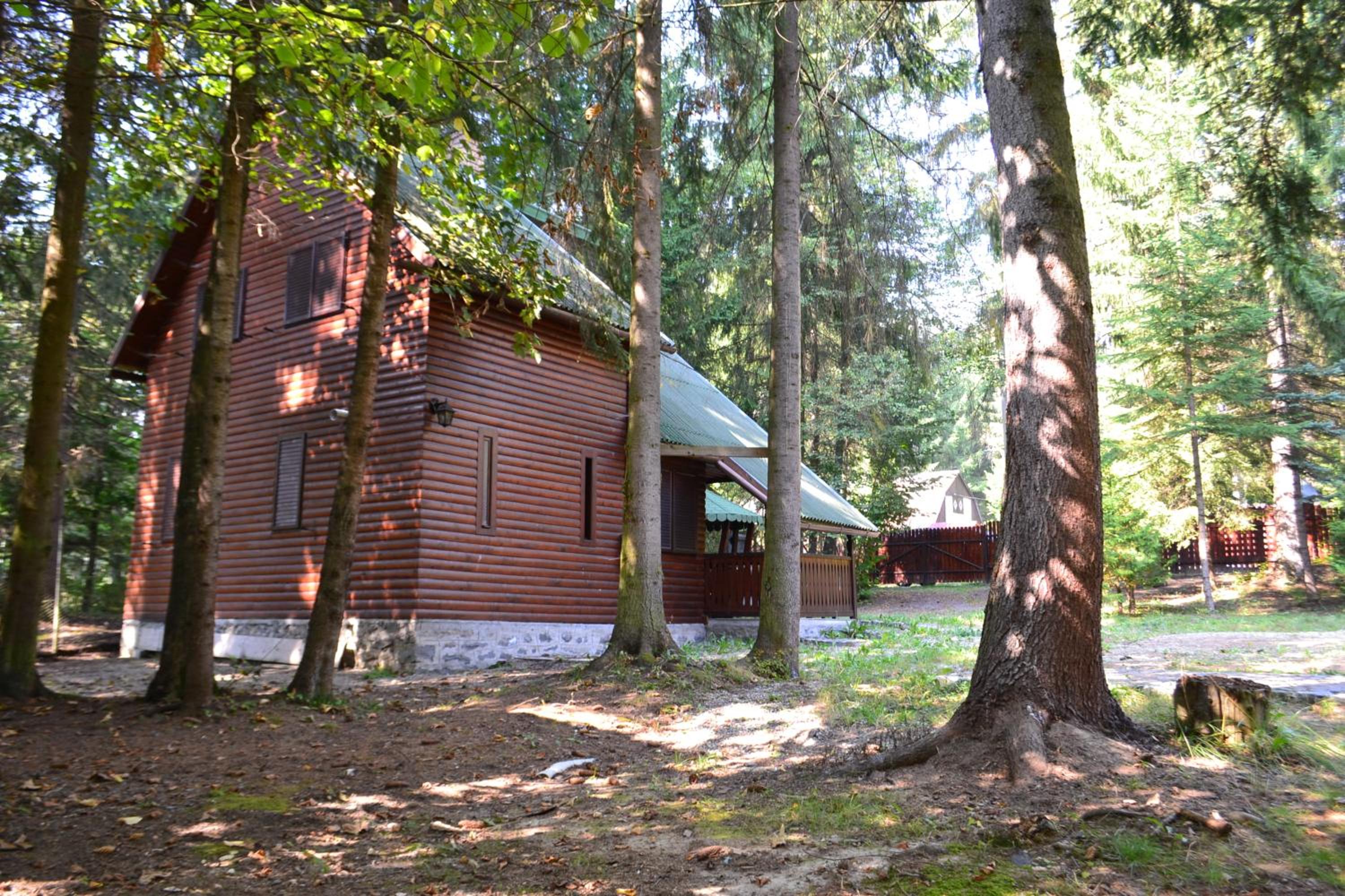 Photo 18
