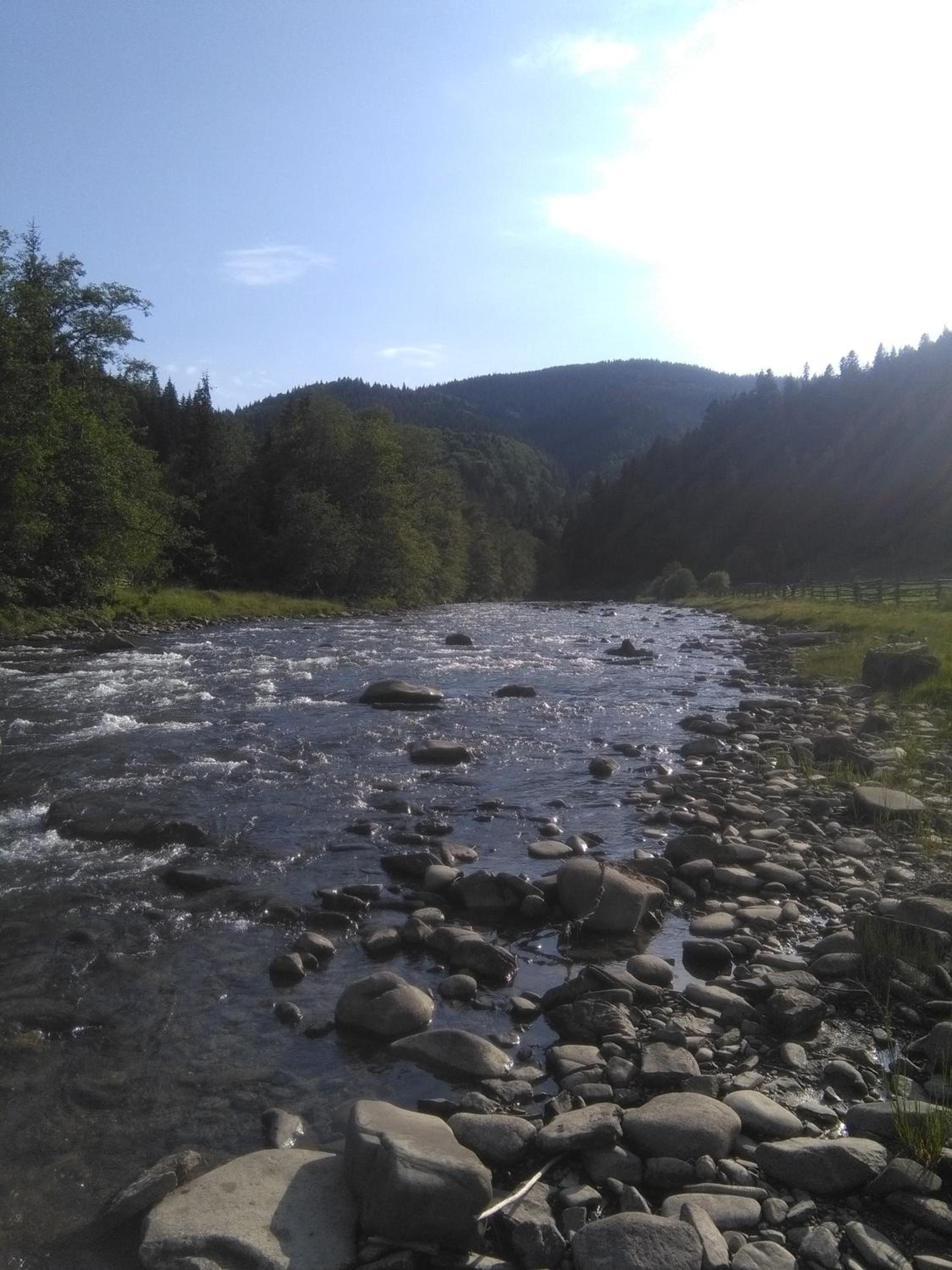 Photo 38
