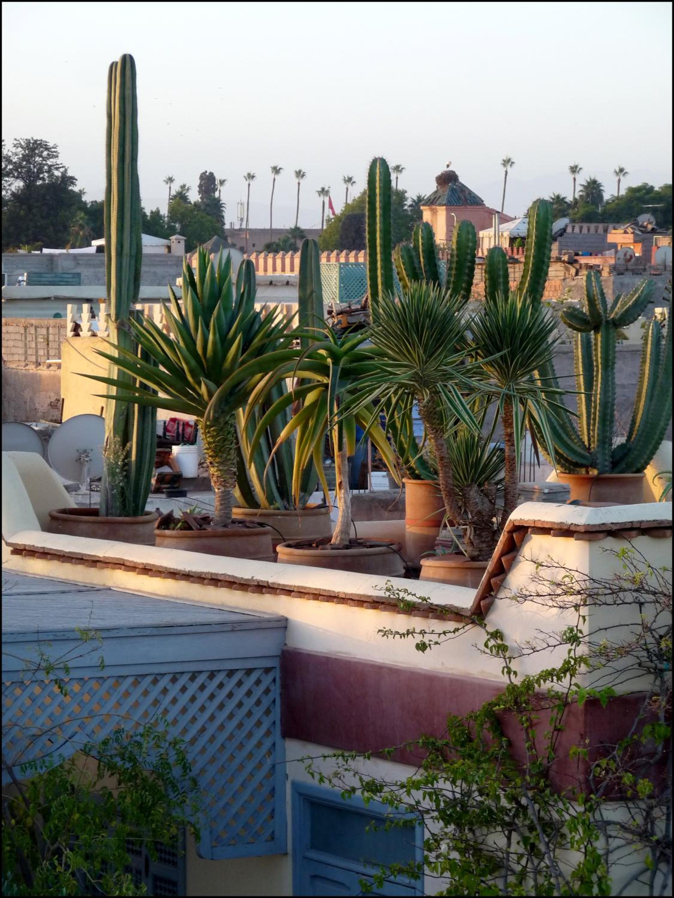 roof