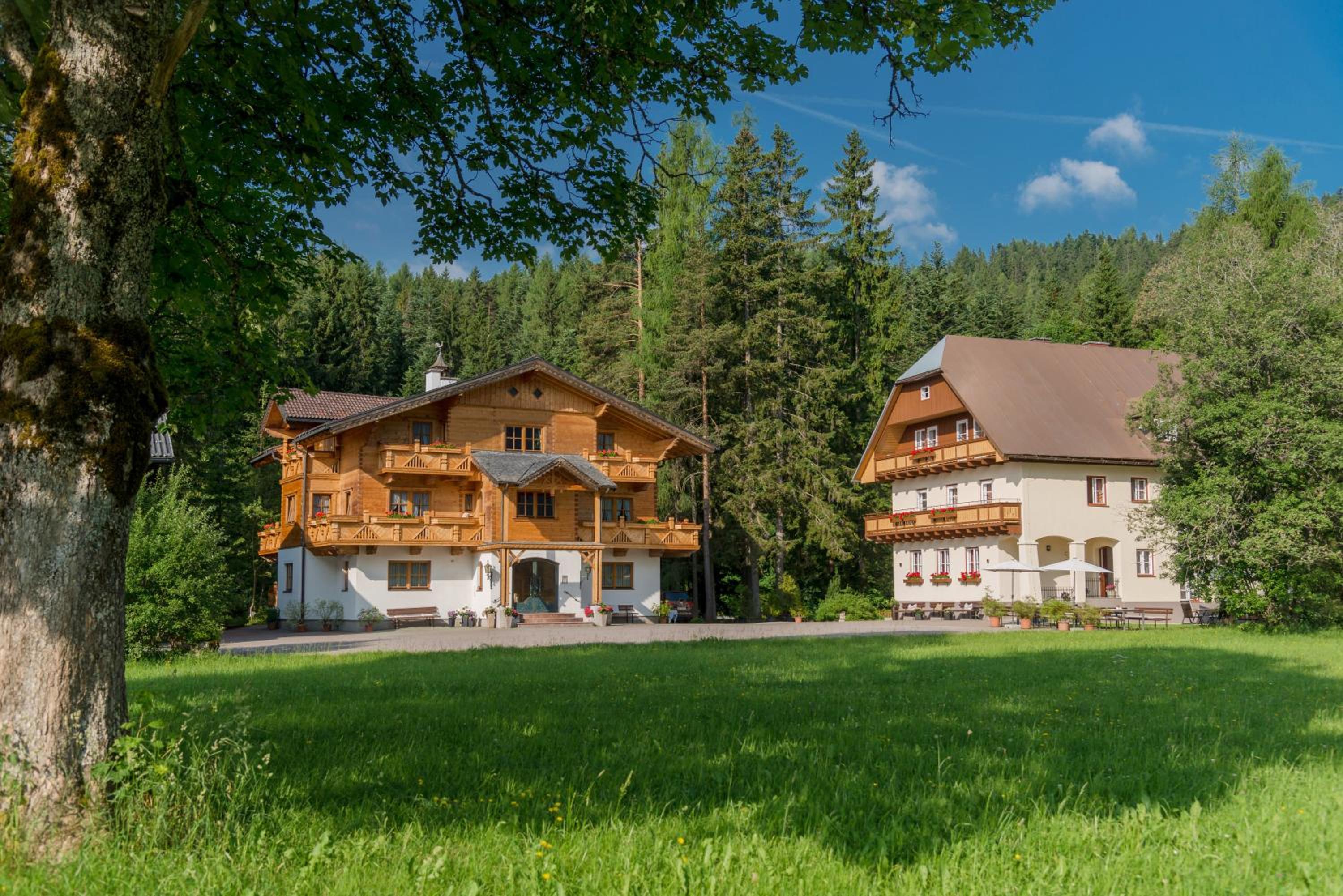 MEINE HEIMAT - Apartments in Ramsau am Dachstein - inklusive SOMMERCARD