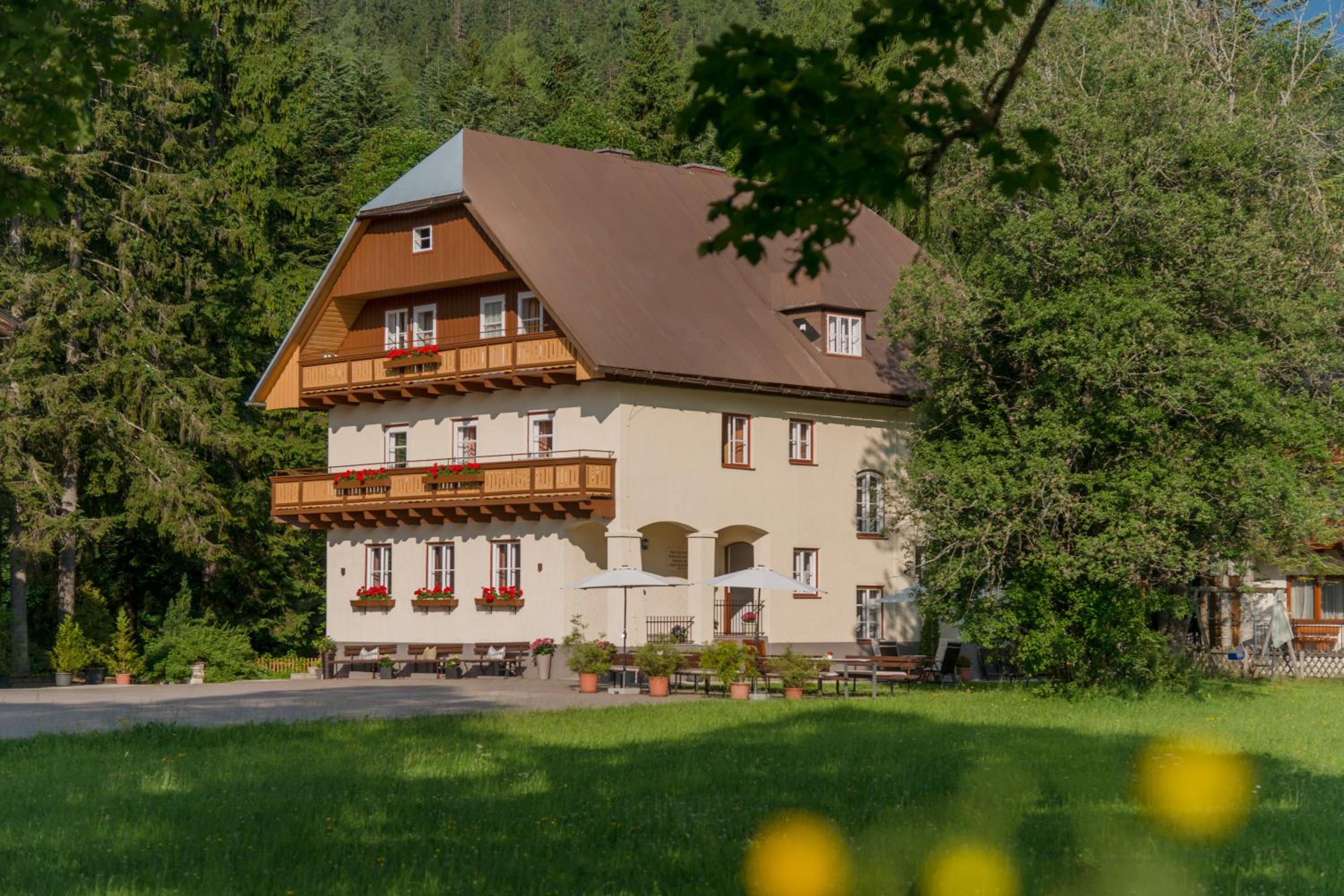 MEINE HEIMAT - Apartments in Ramsau am Dachstein - inklusive SOMMERCARD