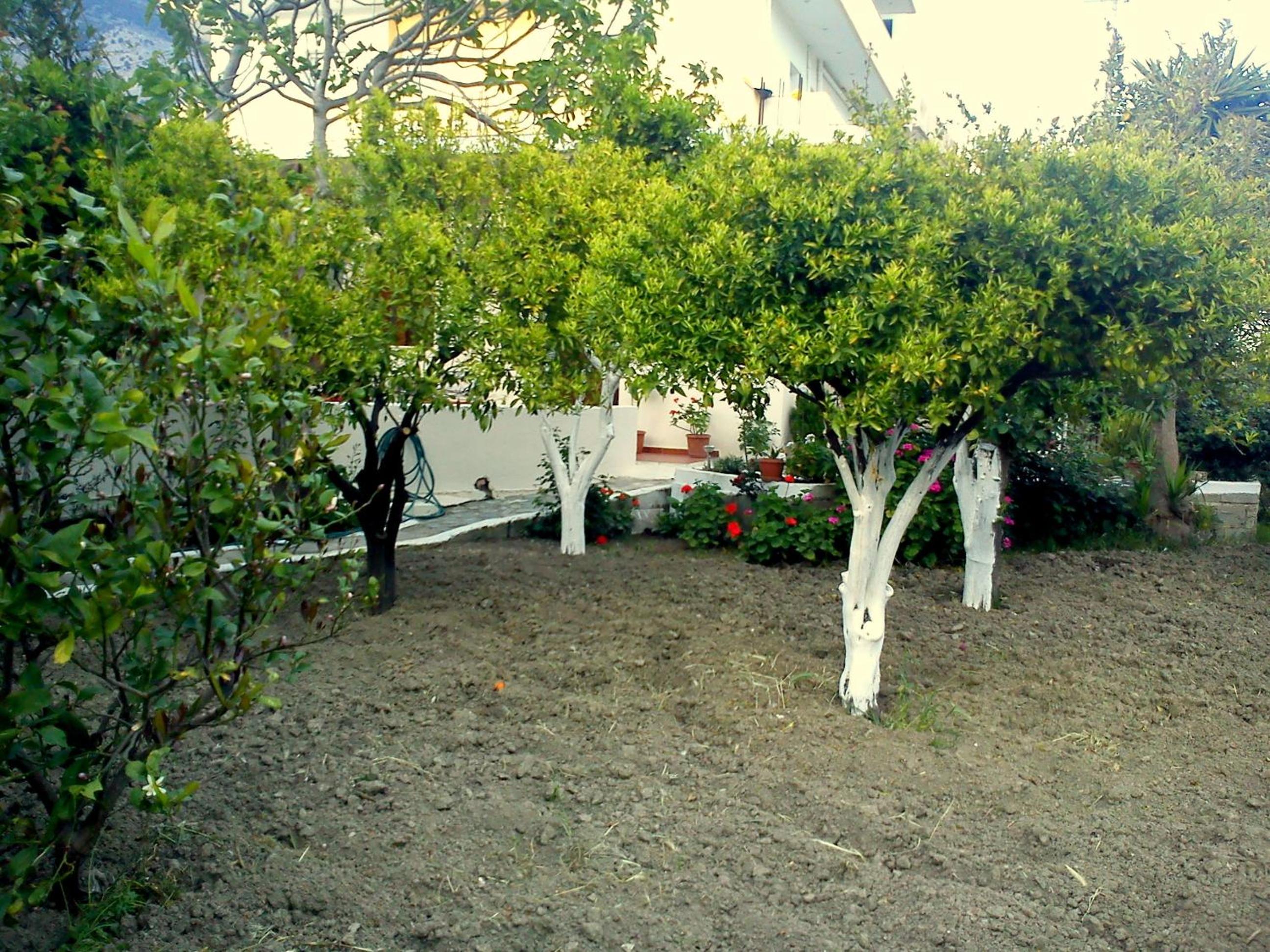 Photo 10