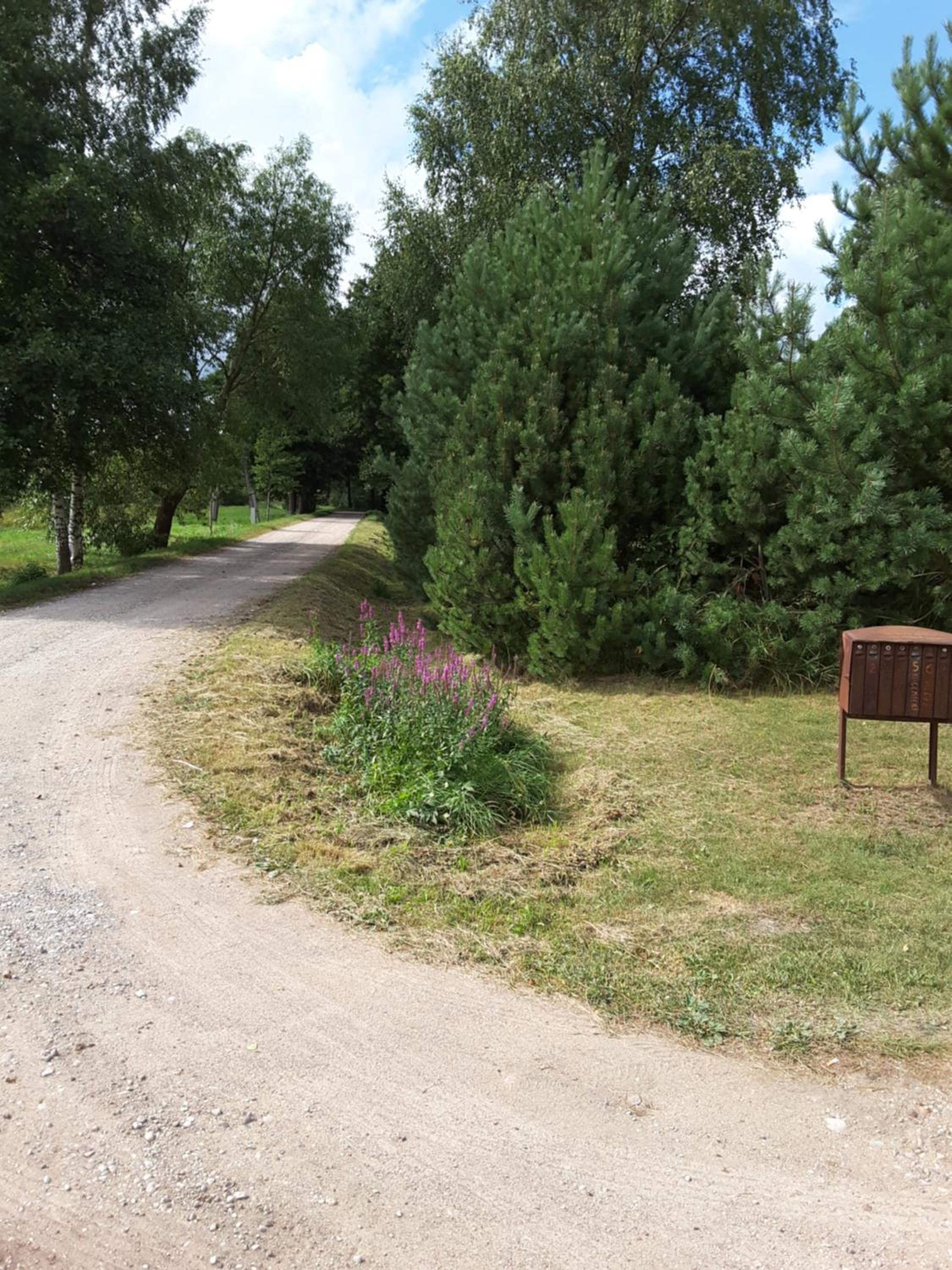 Photo 43