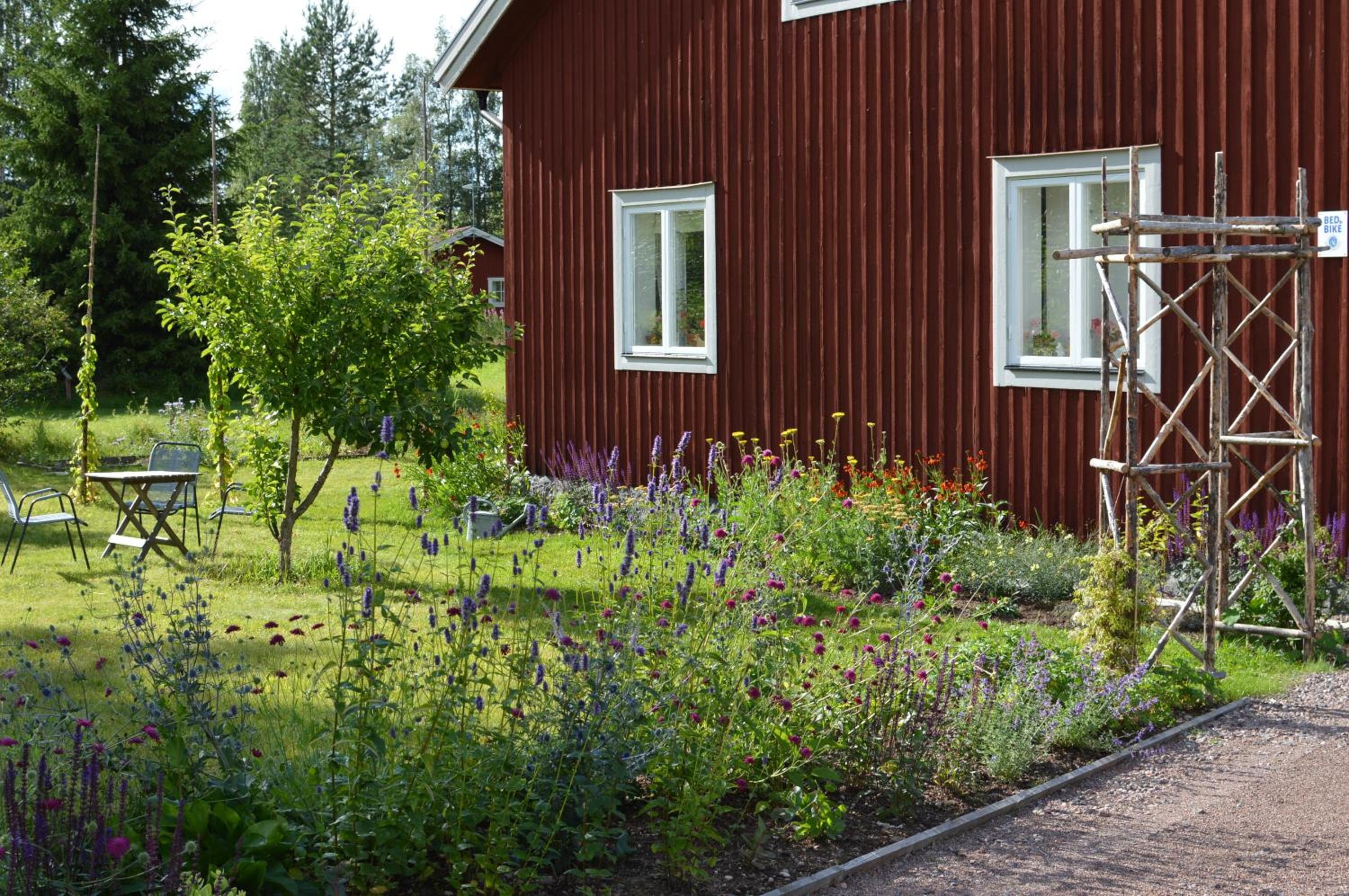 Photo 6