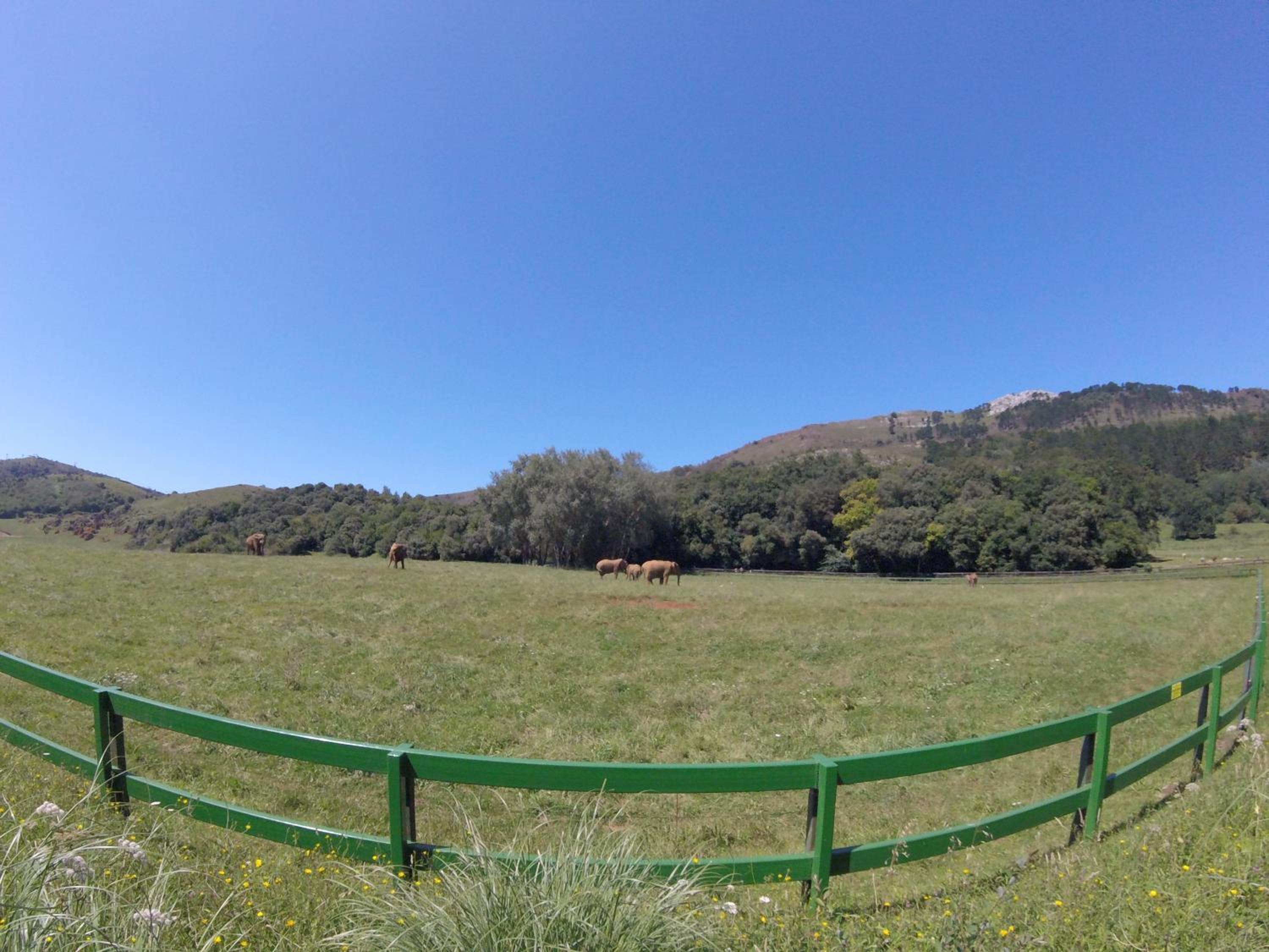 Cabanas La Senda de los elefantes Cabarceno - Property Image 31