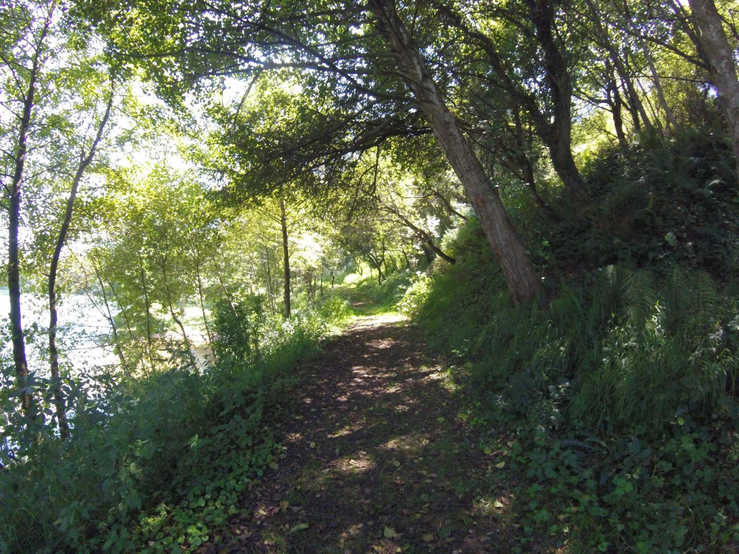 Cabanas La Senda de los elefantes Cabarceno - Property Image 34