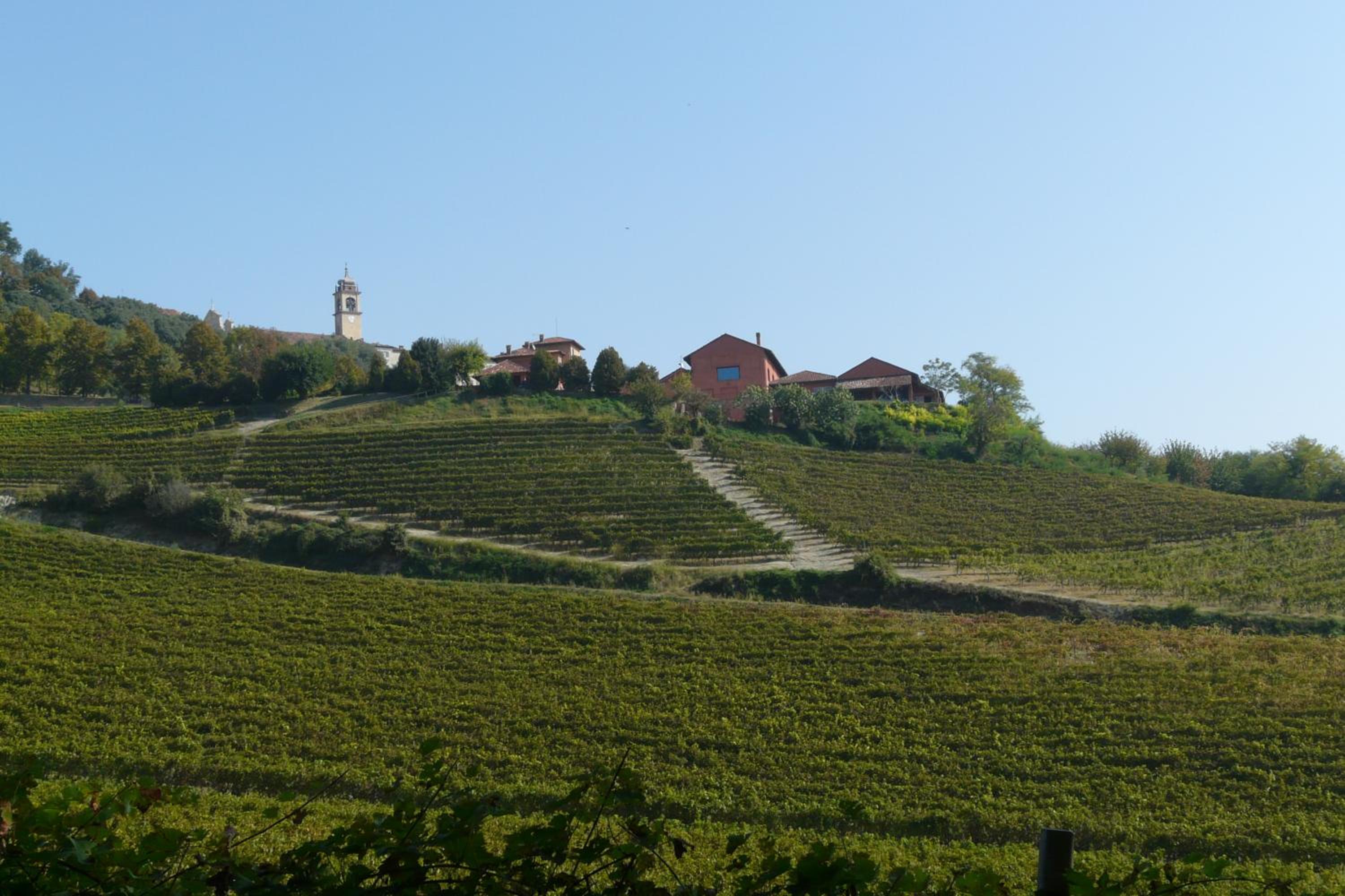 Tenuta Tenaglia