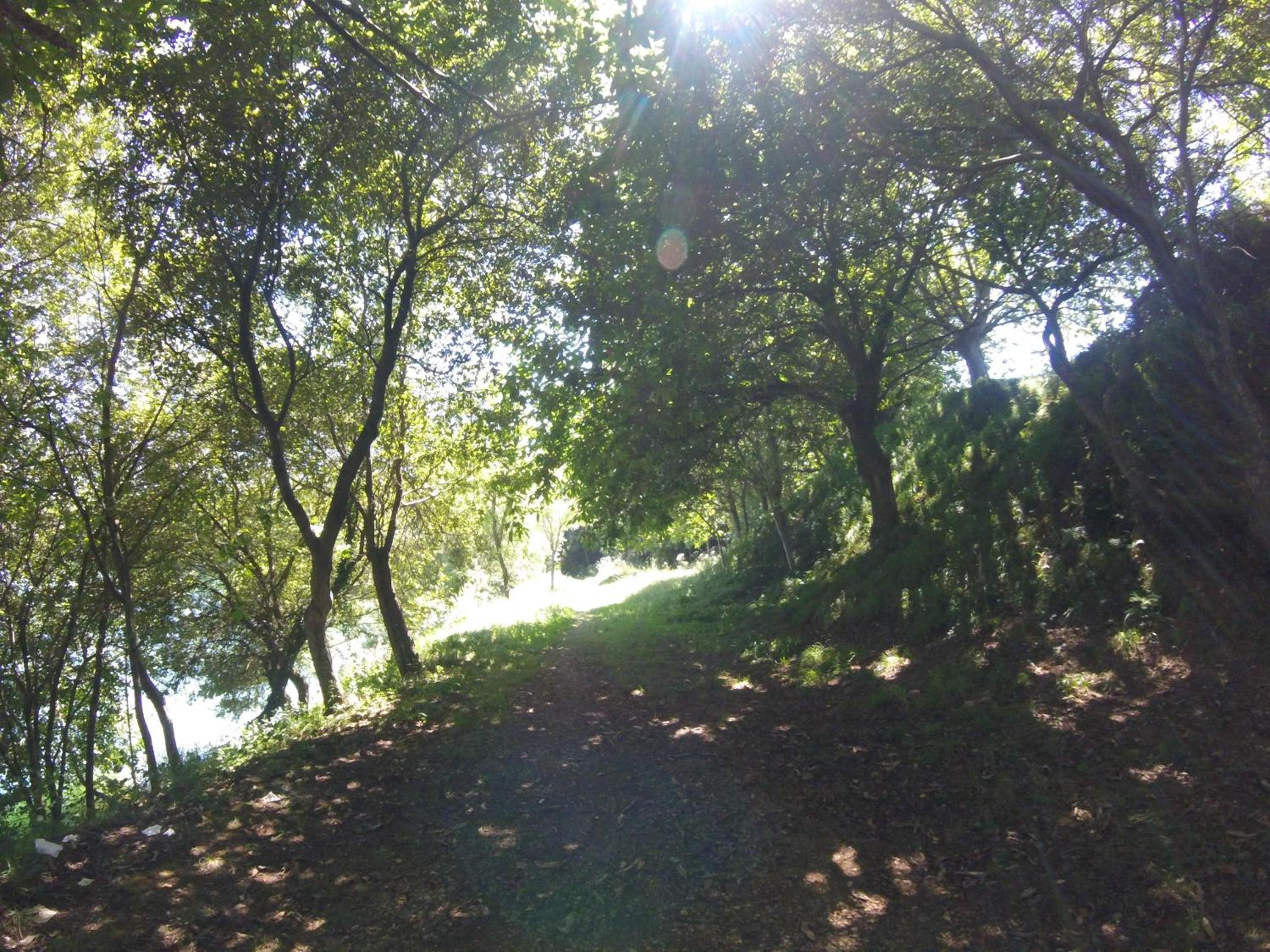 Cabanas La Senda de los elefantes Cabarceno - Property Image 39