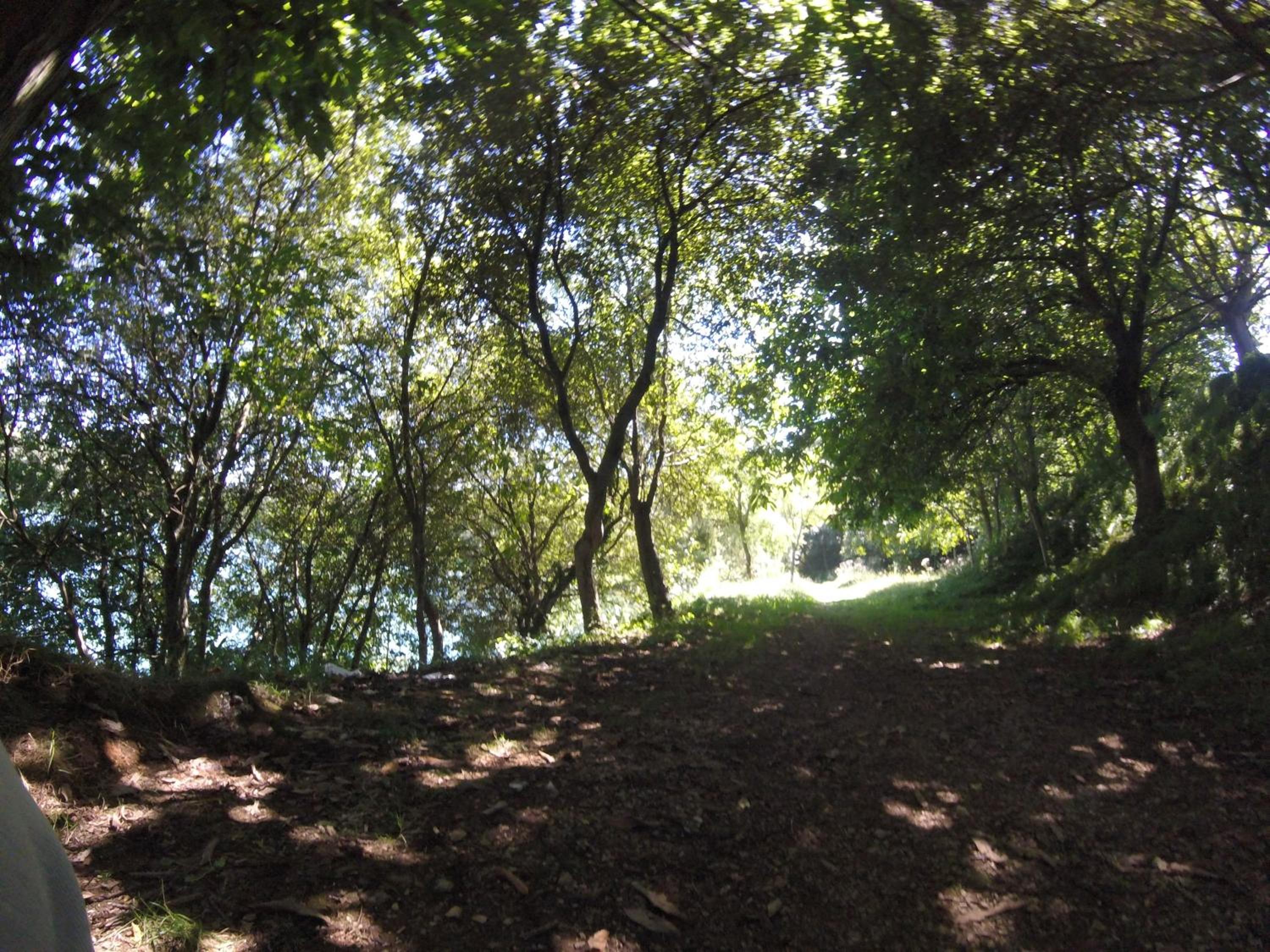 Cabanas La Senda de los elefantes Cabarceno - Property Image 36