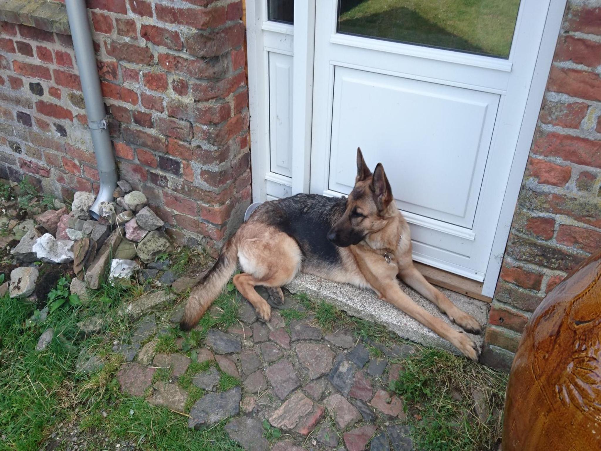 Photo 43