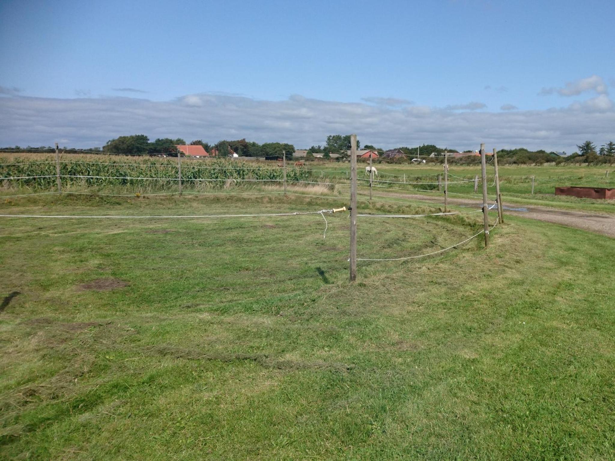 Photo 46