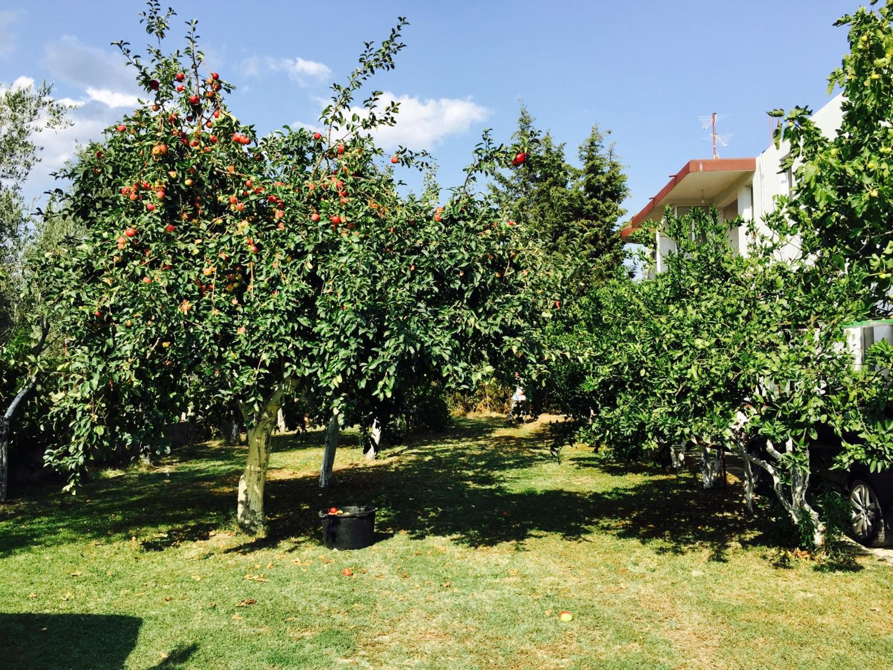 Photo 46