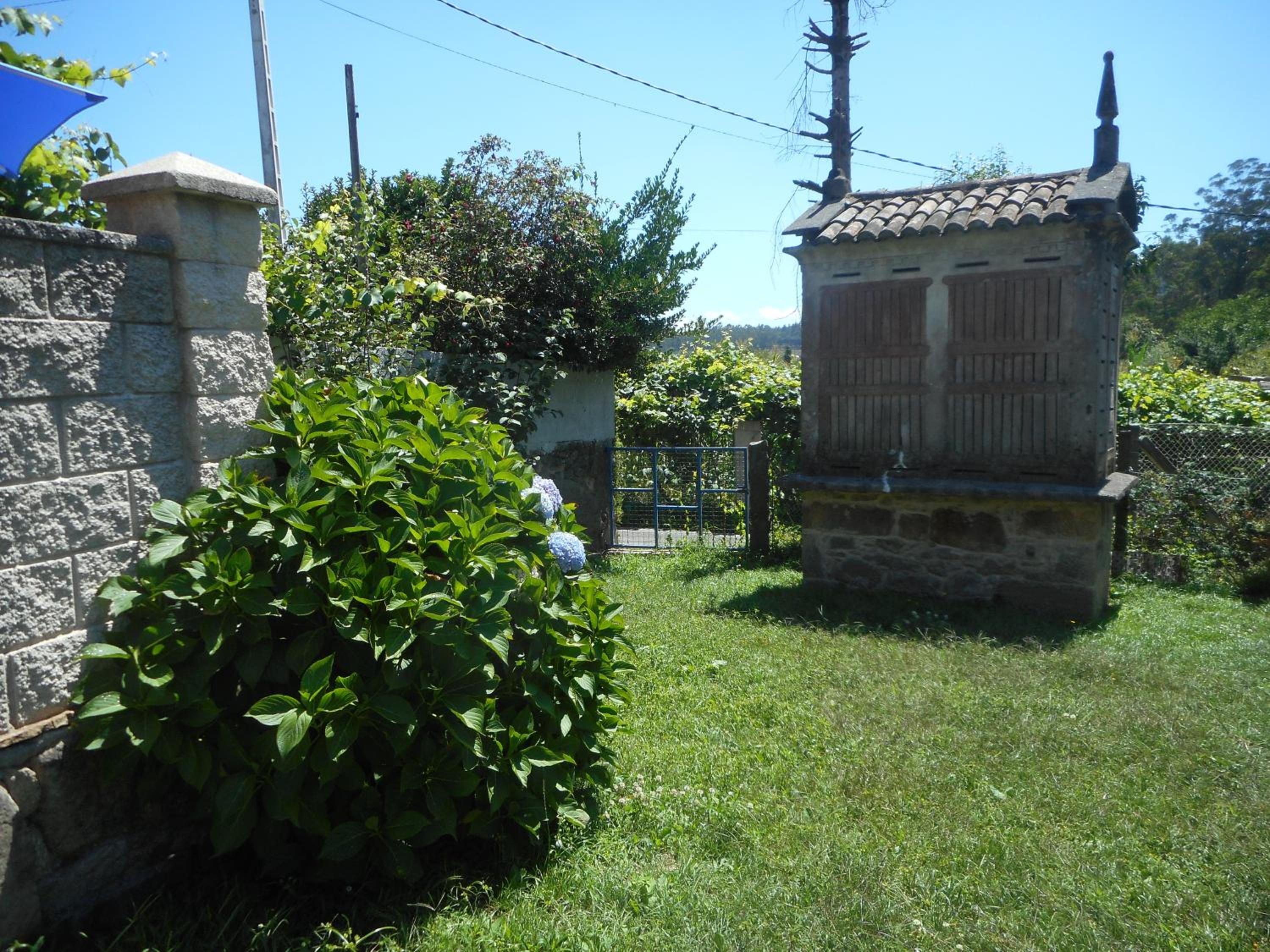 Photo 31