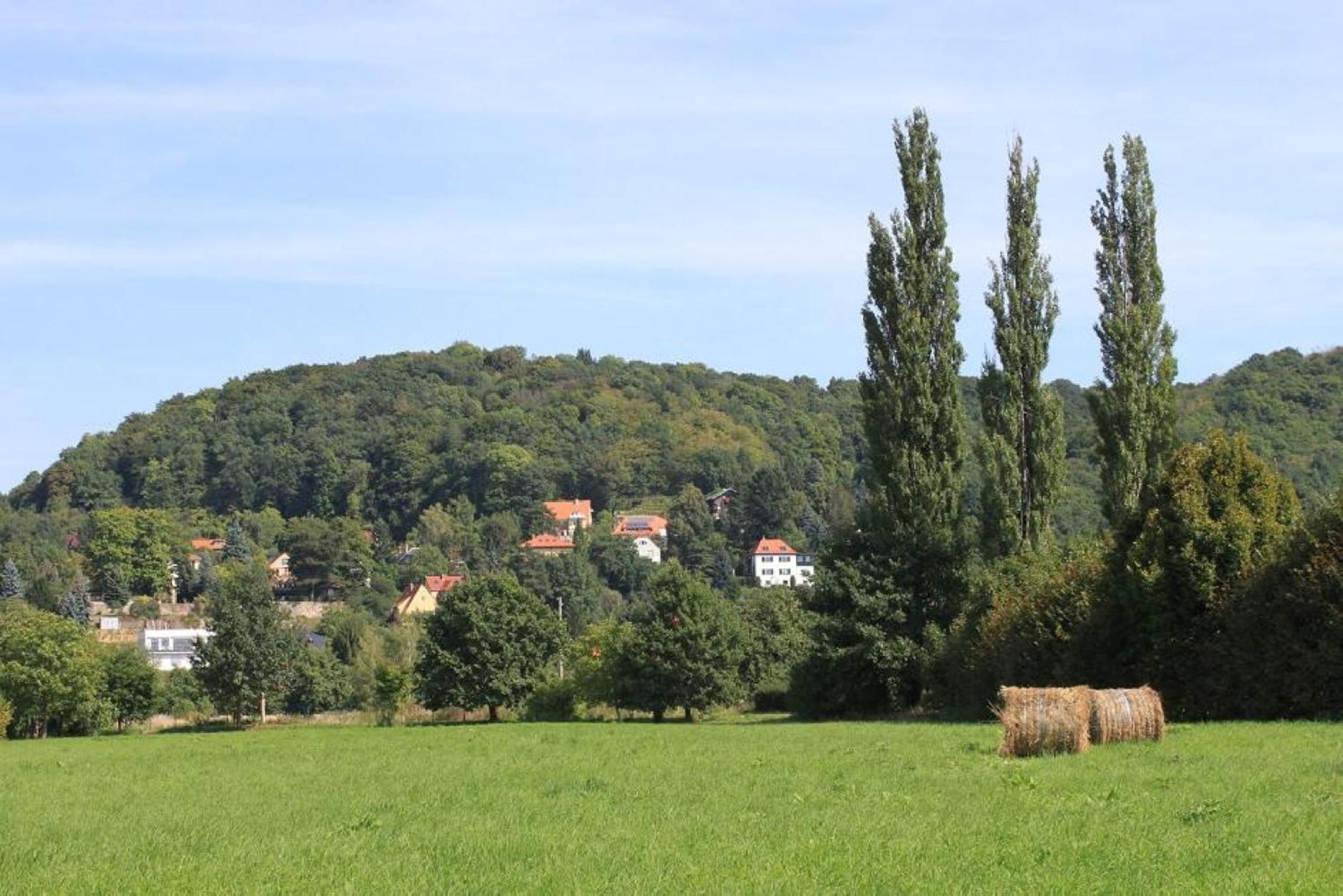 Dresden Vacations - Traumhaftes Elb-Chalet - Property Image 13