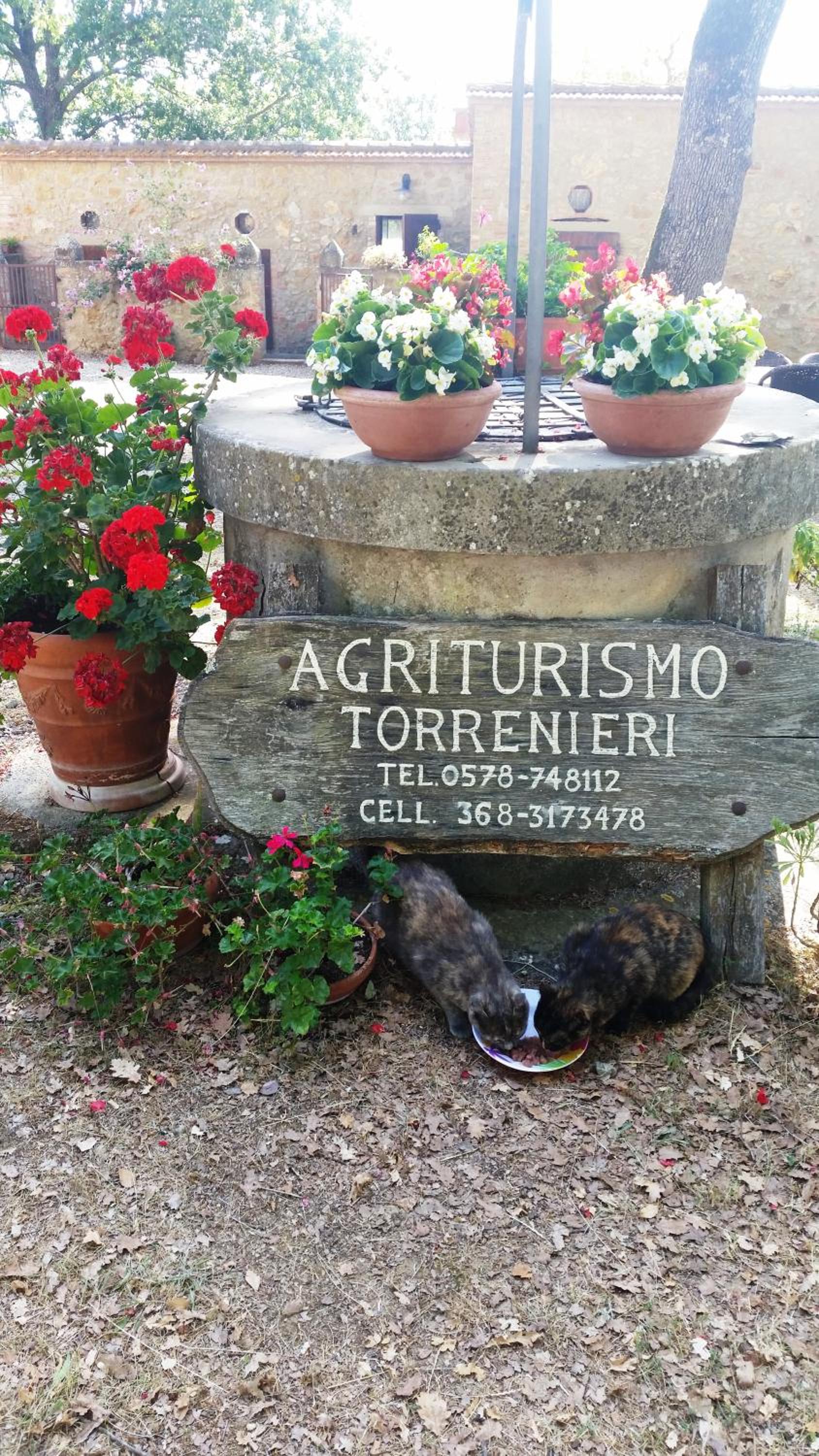 Agriturismo Torrenieri da Alessandro view 4