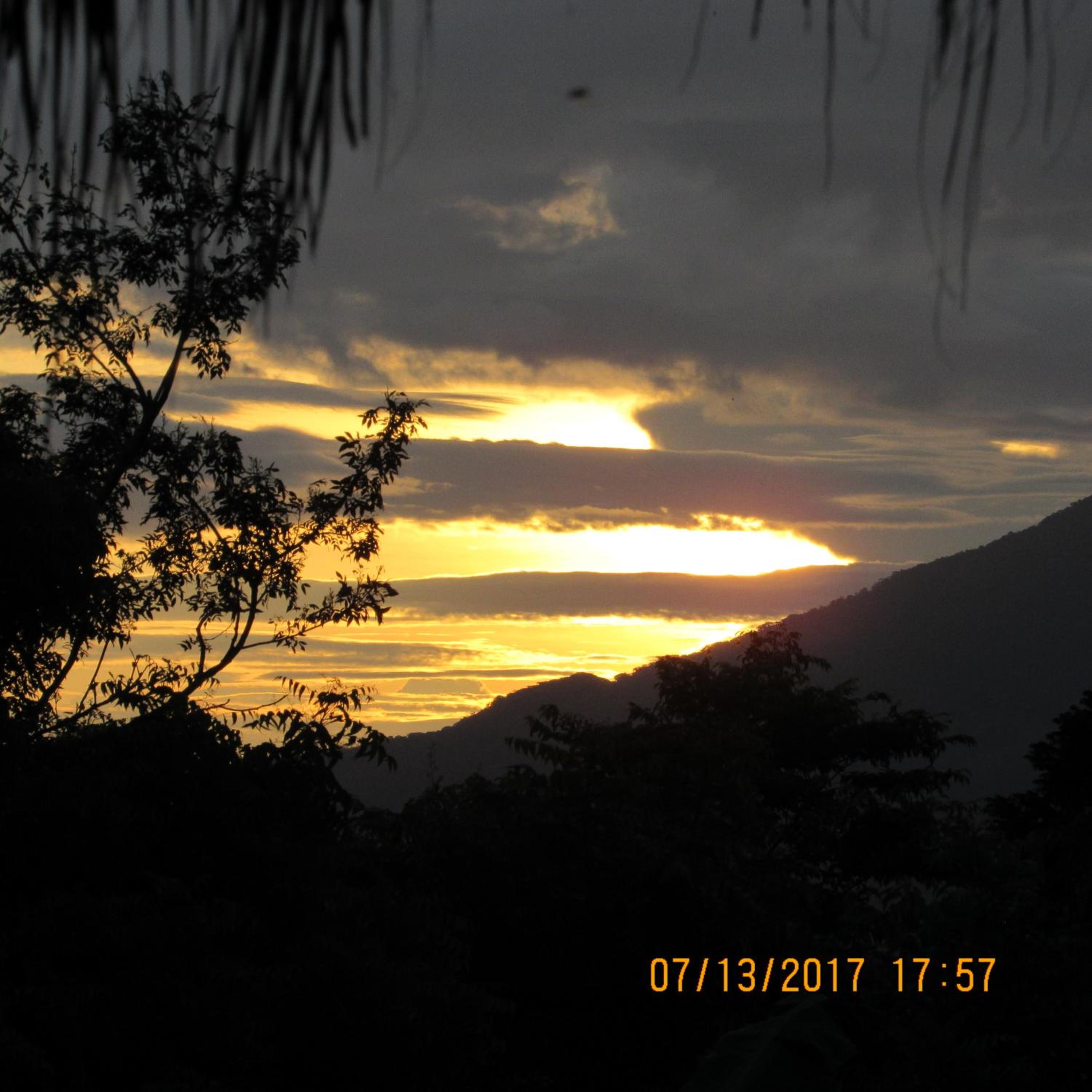 Photo 106