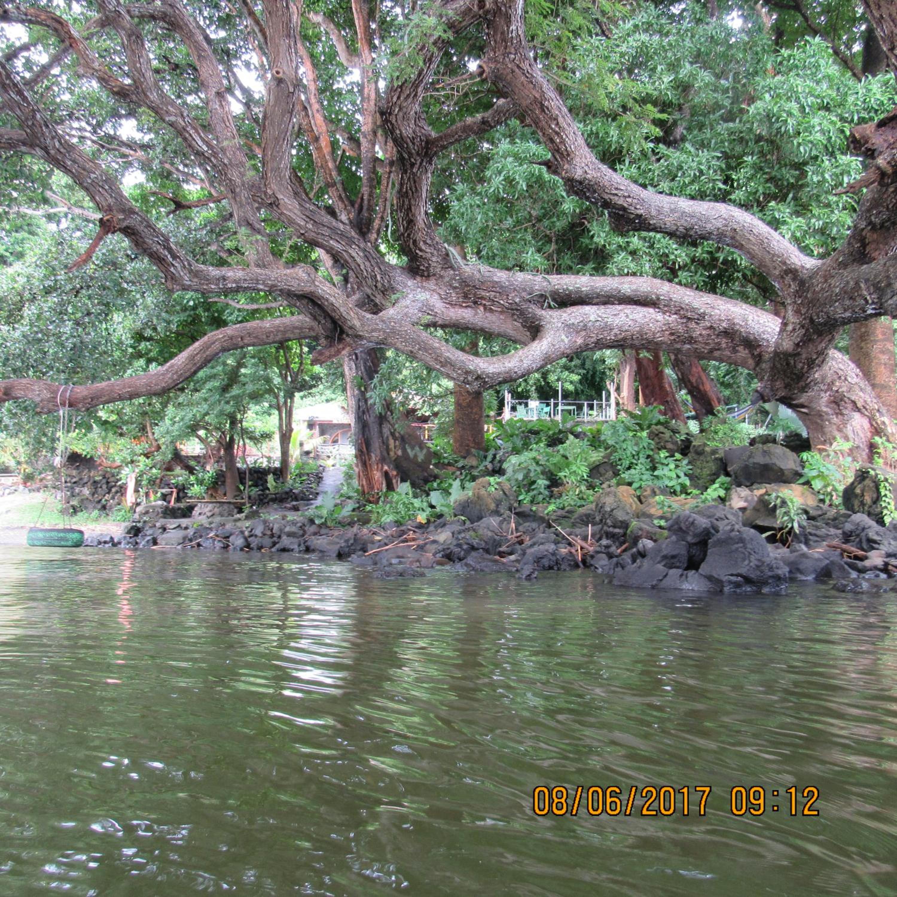 Photo 100