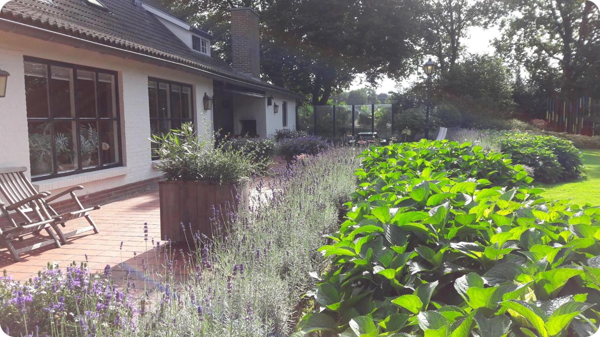 Het geheim van Merselo view 2