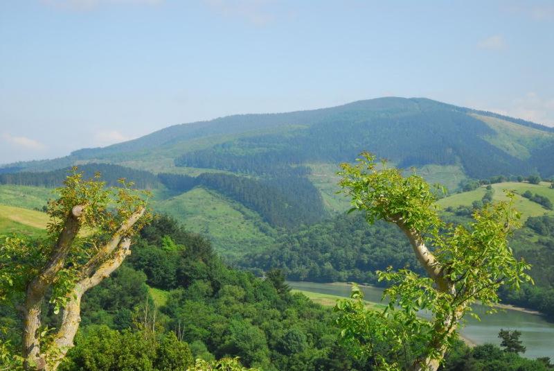 Casa Rural Erretzabal Txiki view 5