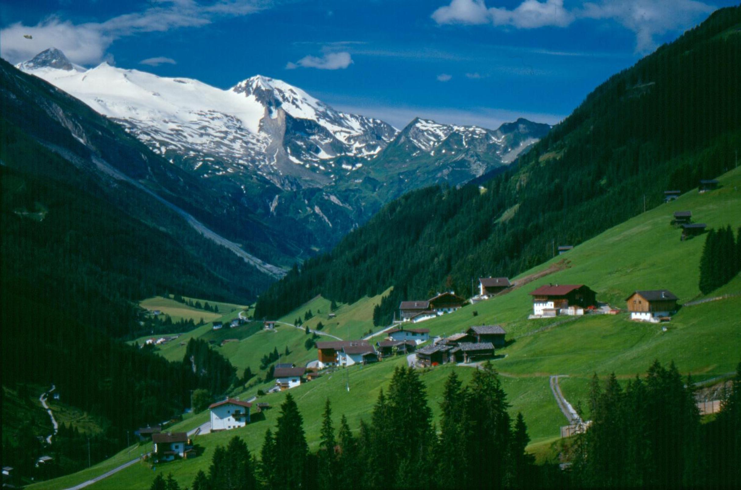 Pension Rosengarten