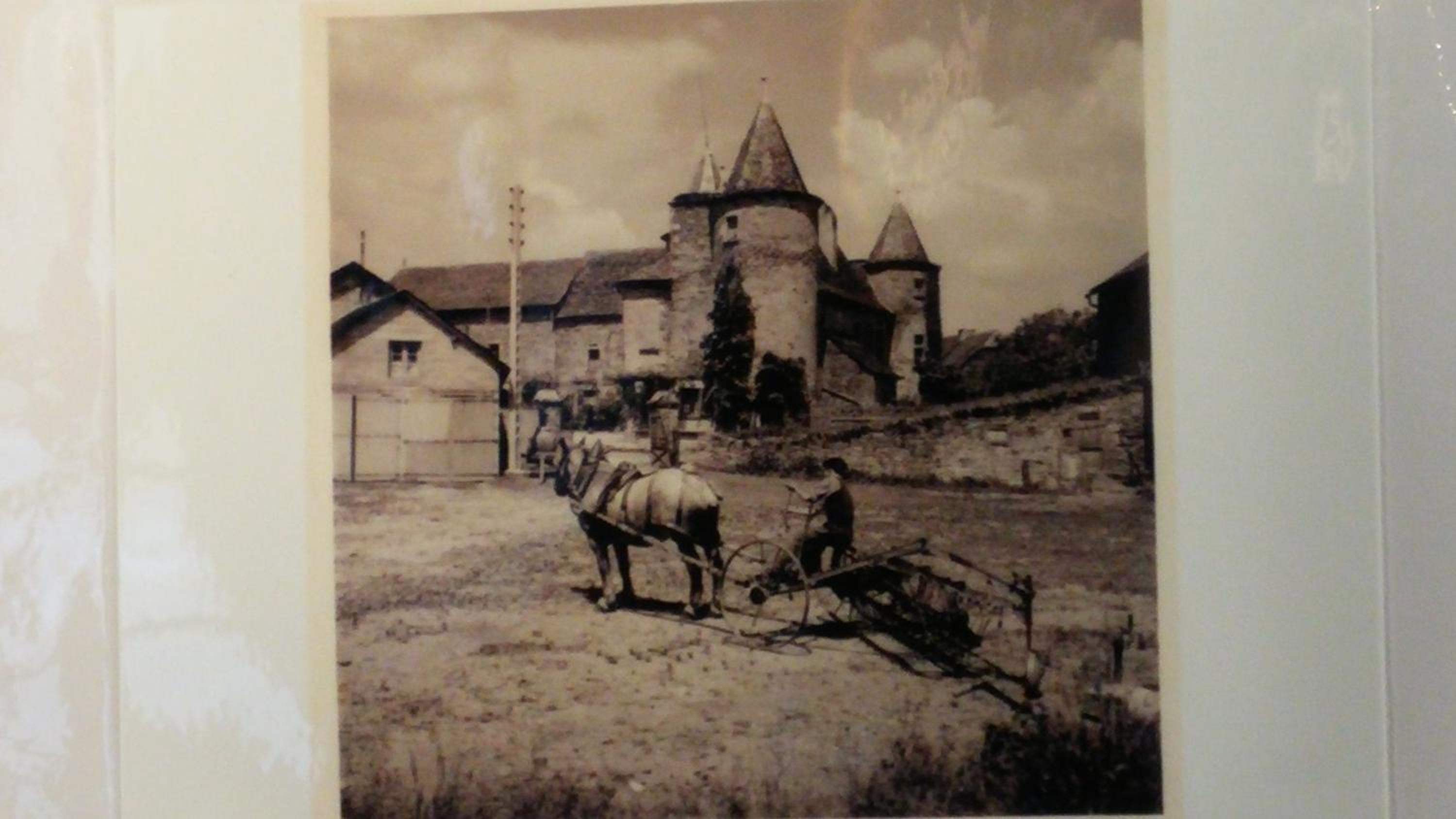 Photo 19