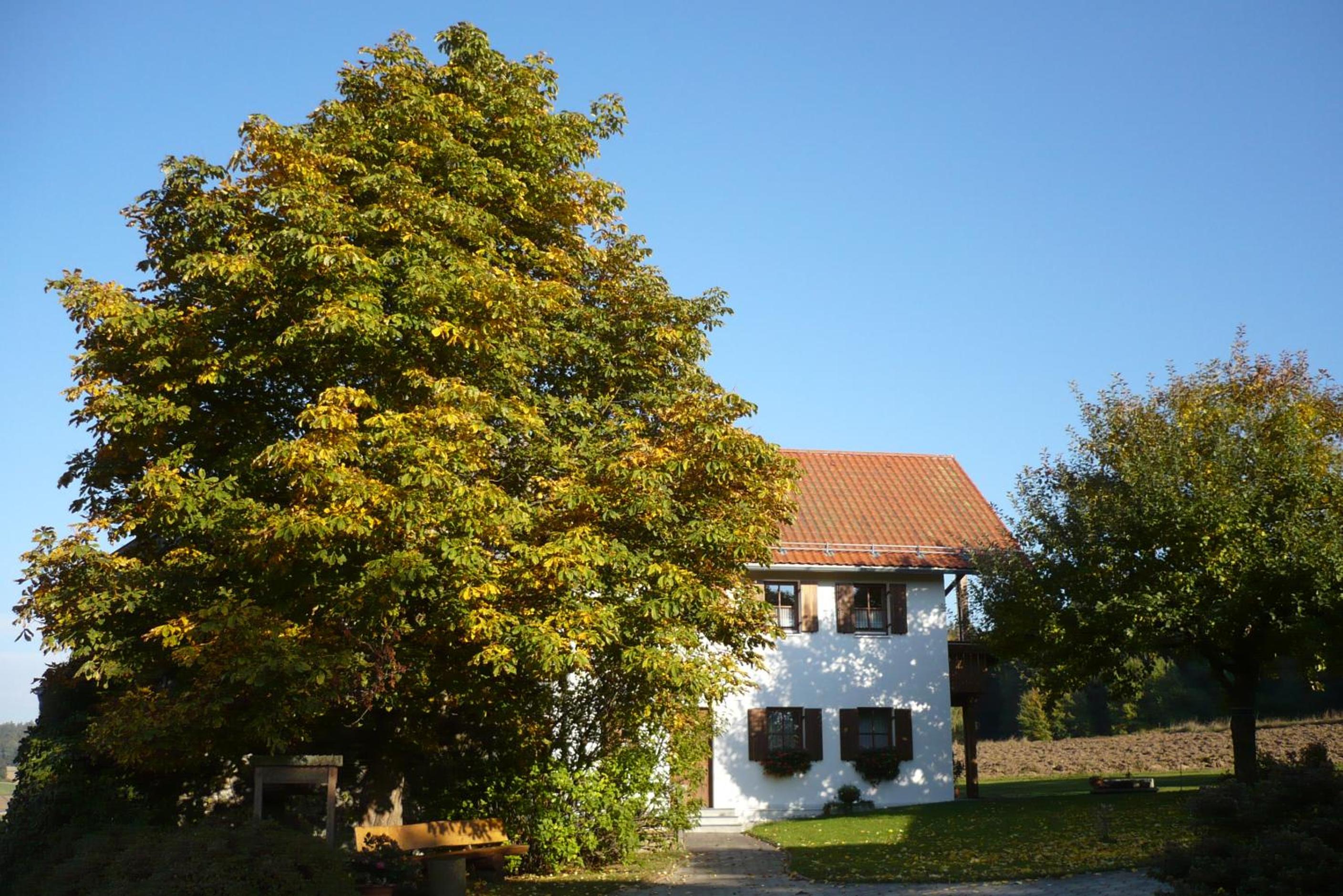 Ferienwohnungen Reitinger view 5