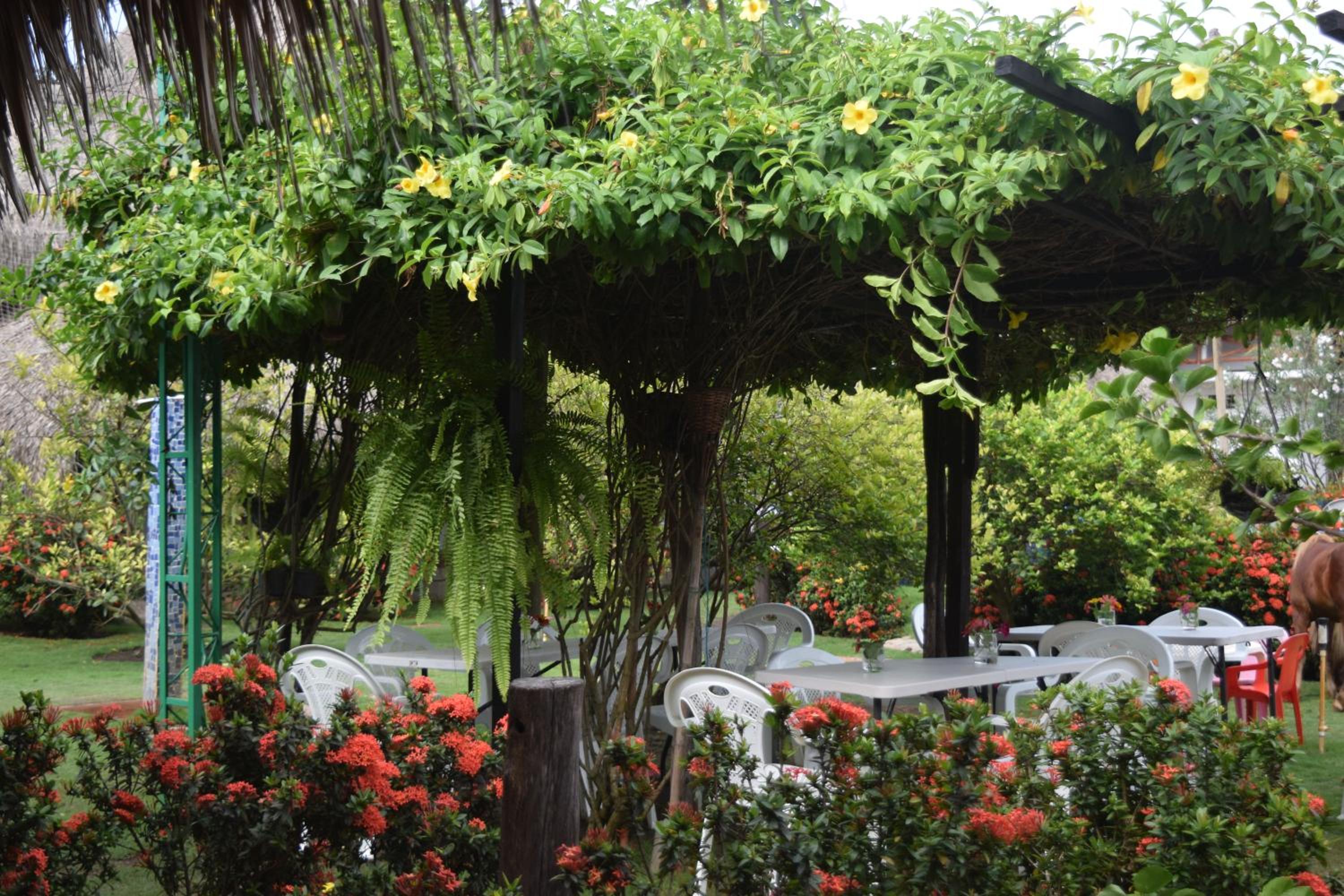 Palomino Breeze Hostal