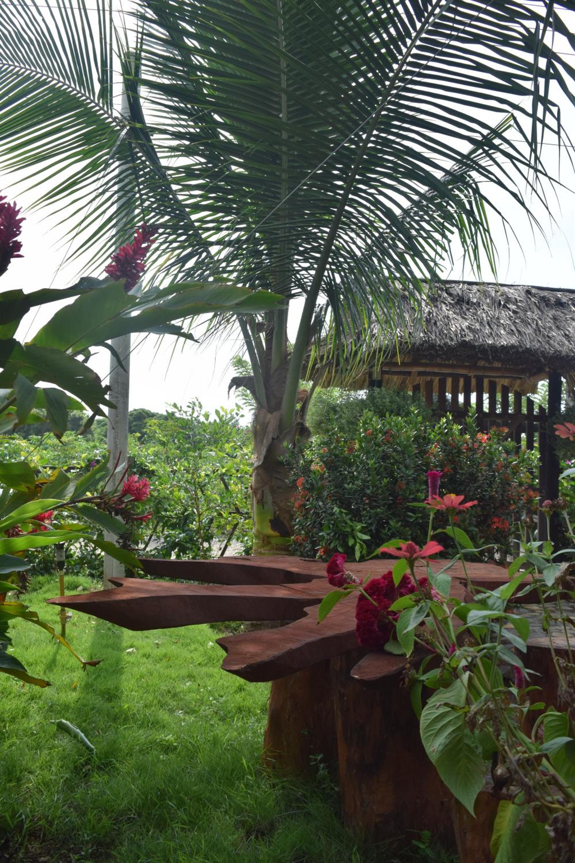 Palomino Breeze Hostal