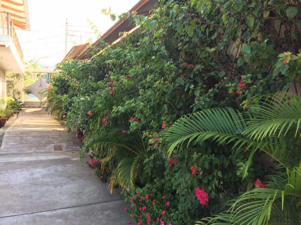 Photo 34