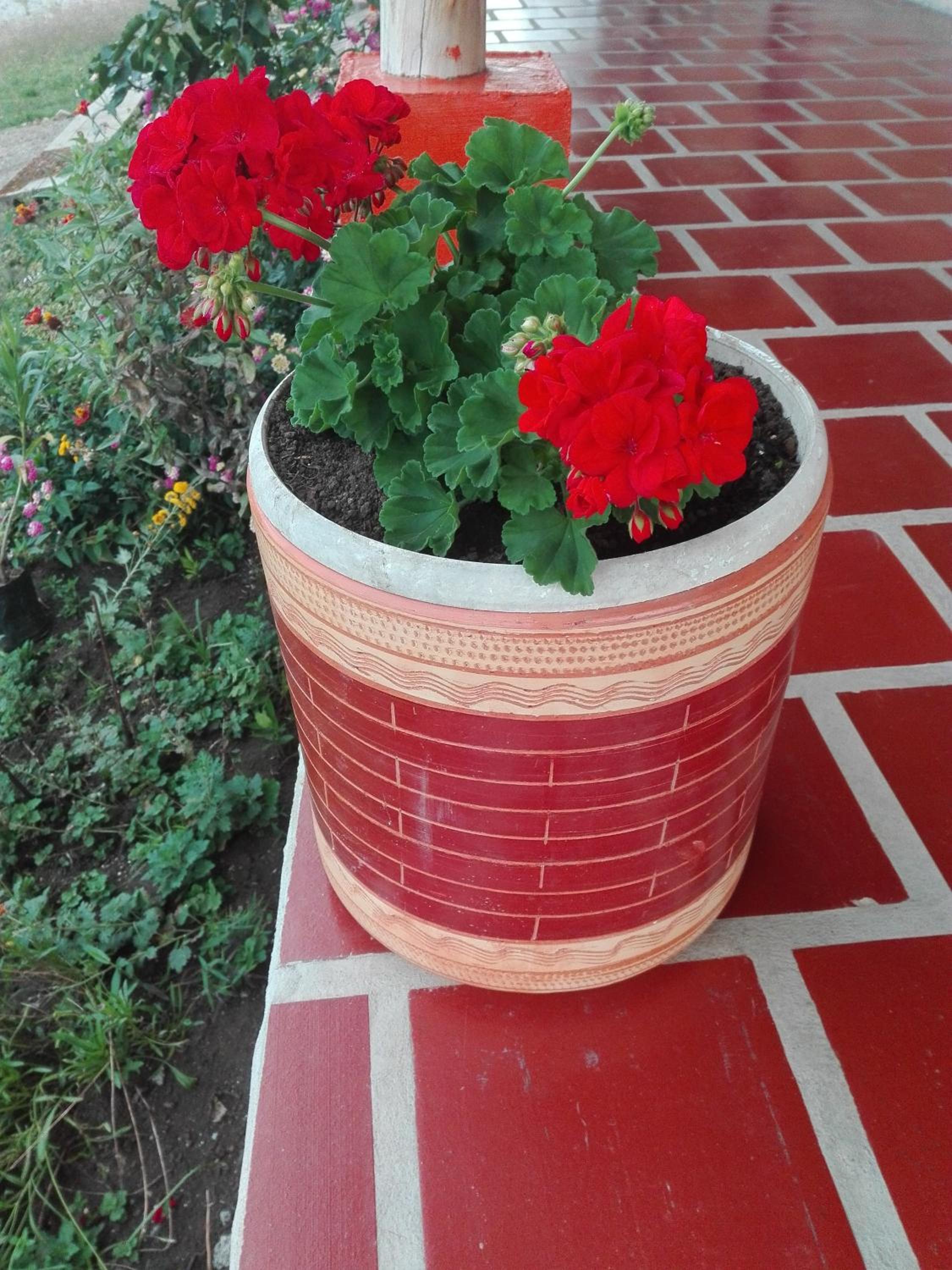 San Agustín Wayrana