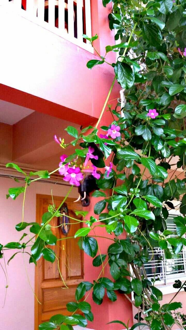 Lampang Lanna Home