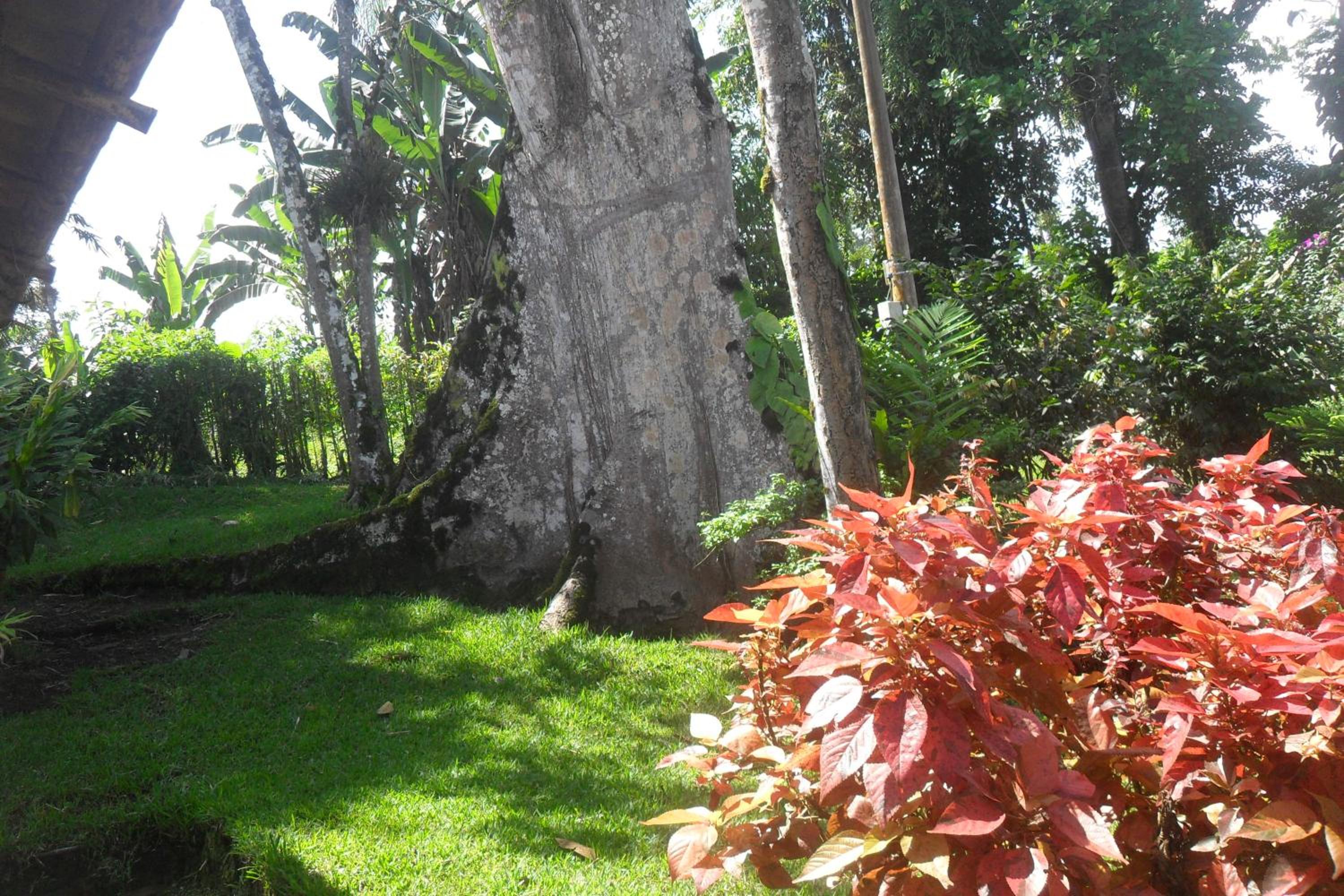 Photo 51