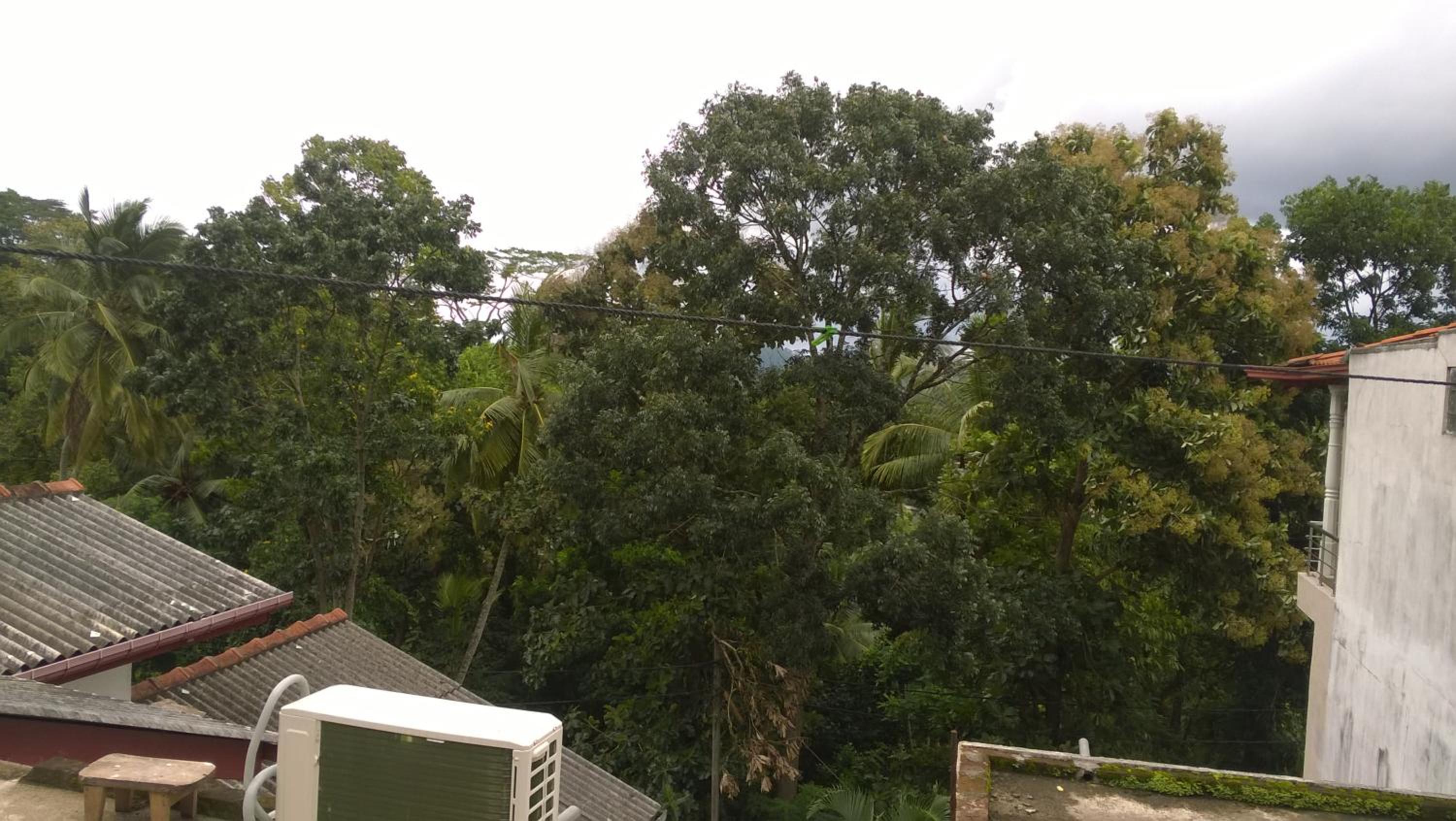 Kandy Citylights Residence