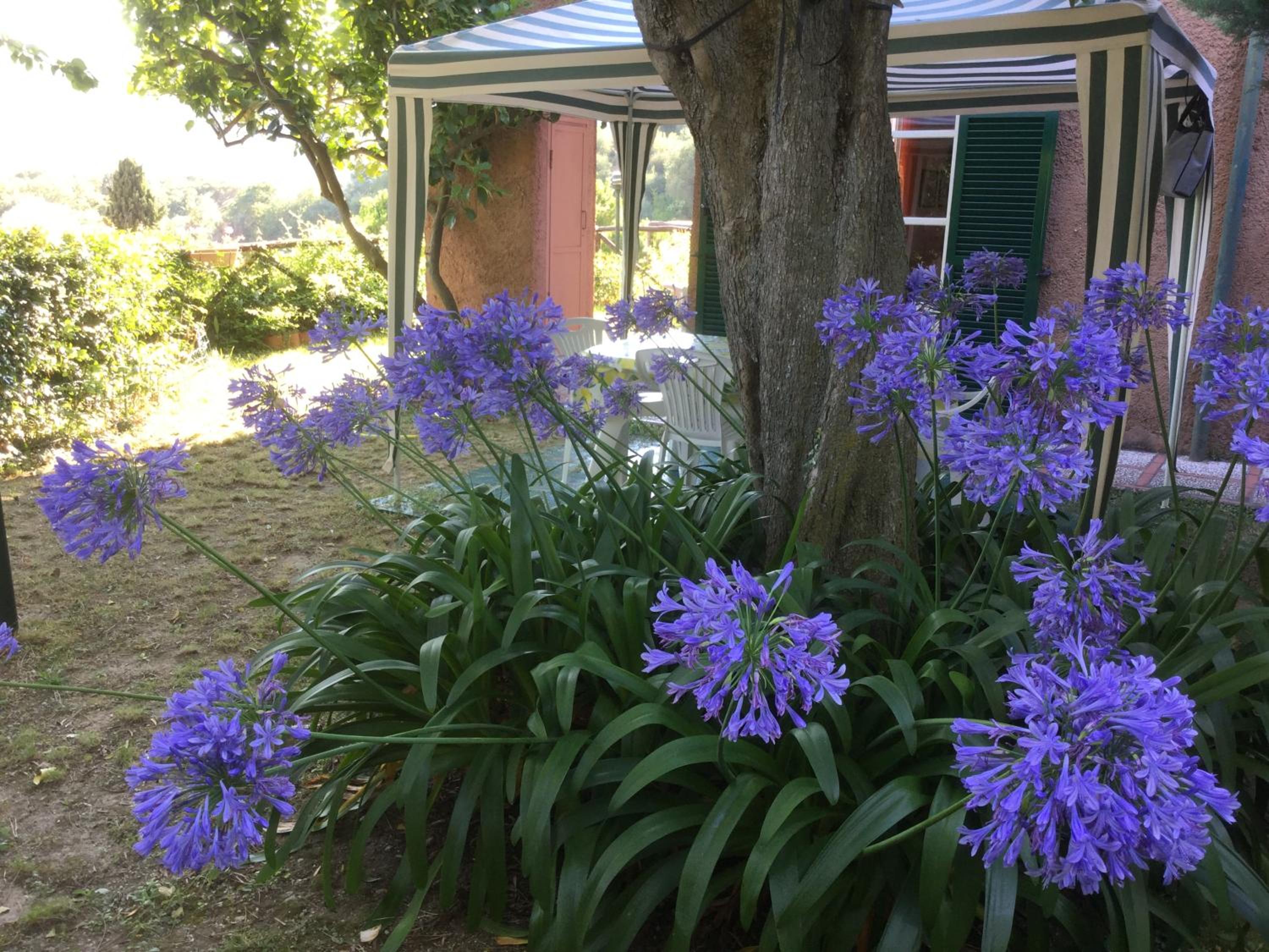 Photo 27