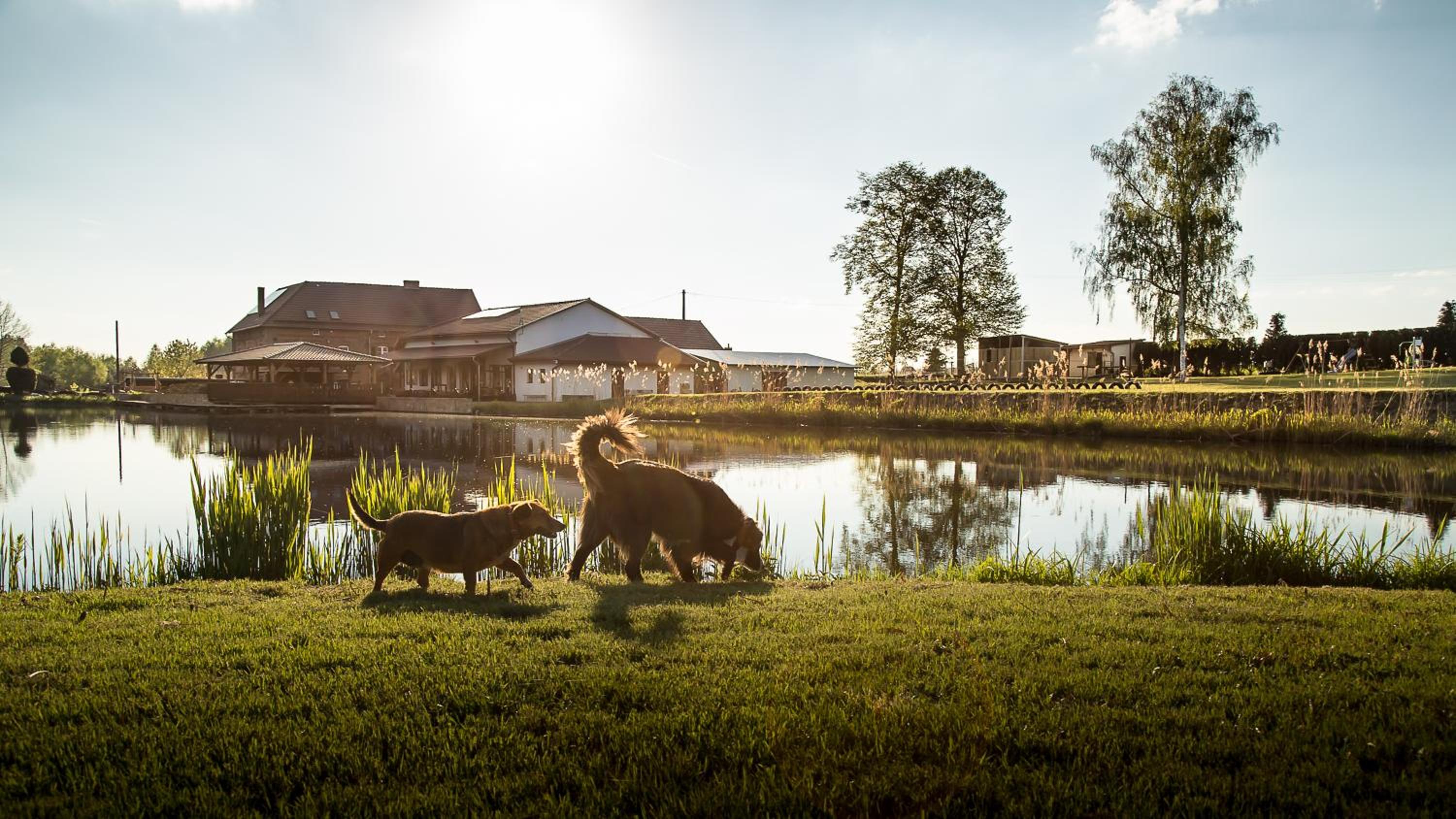 Tawerna Pod Kotwicą pokoje i domy wakacyjne view 5