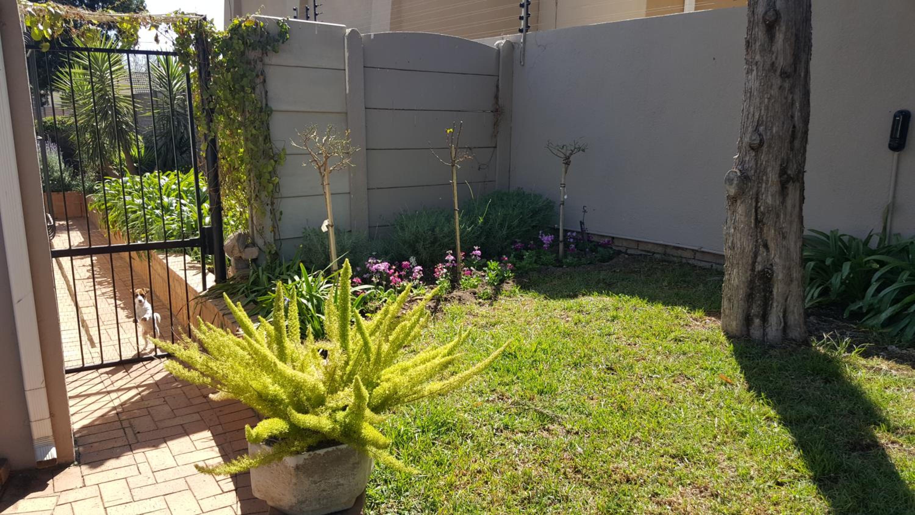8 Ibis Lane Guest House