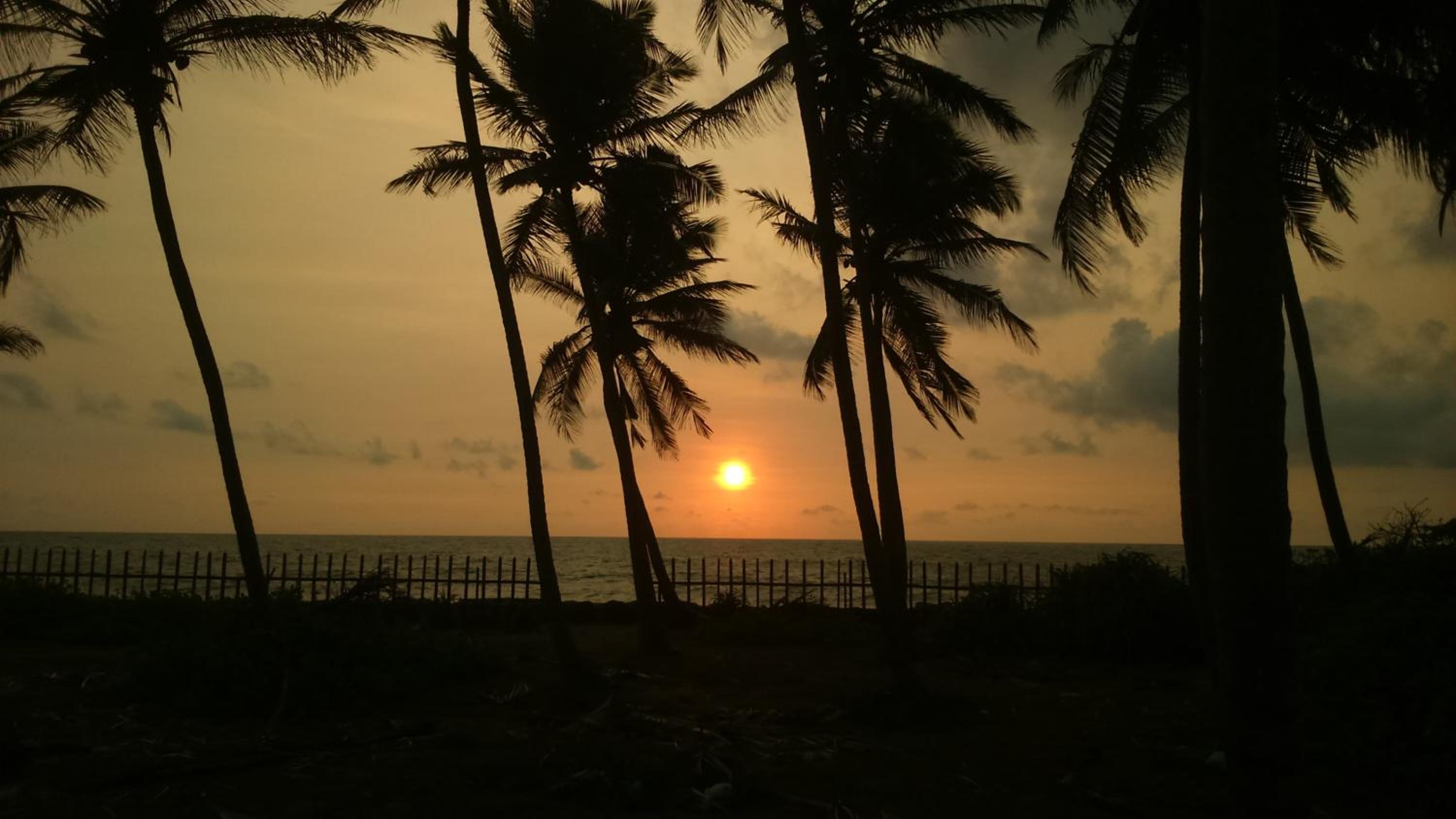 Sri Beach Bungalows And Villa
