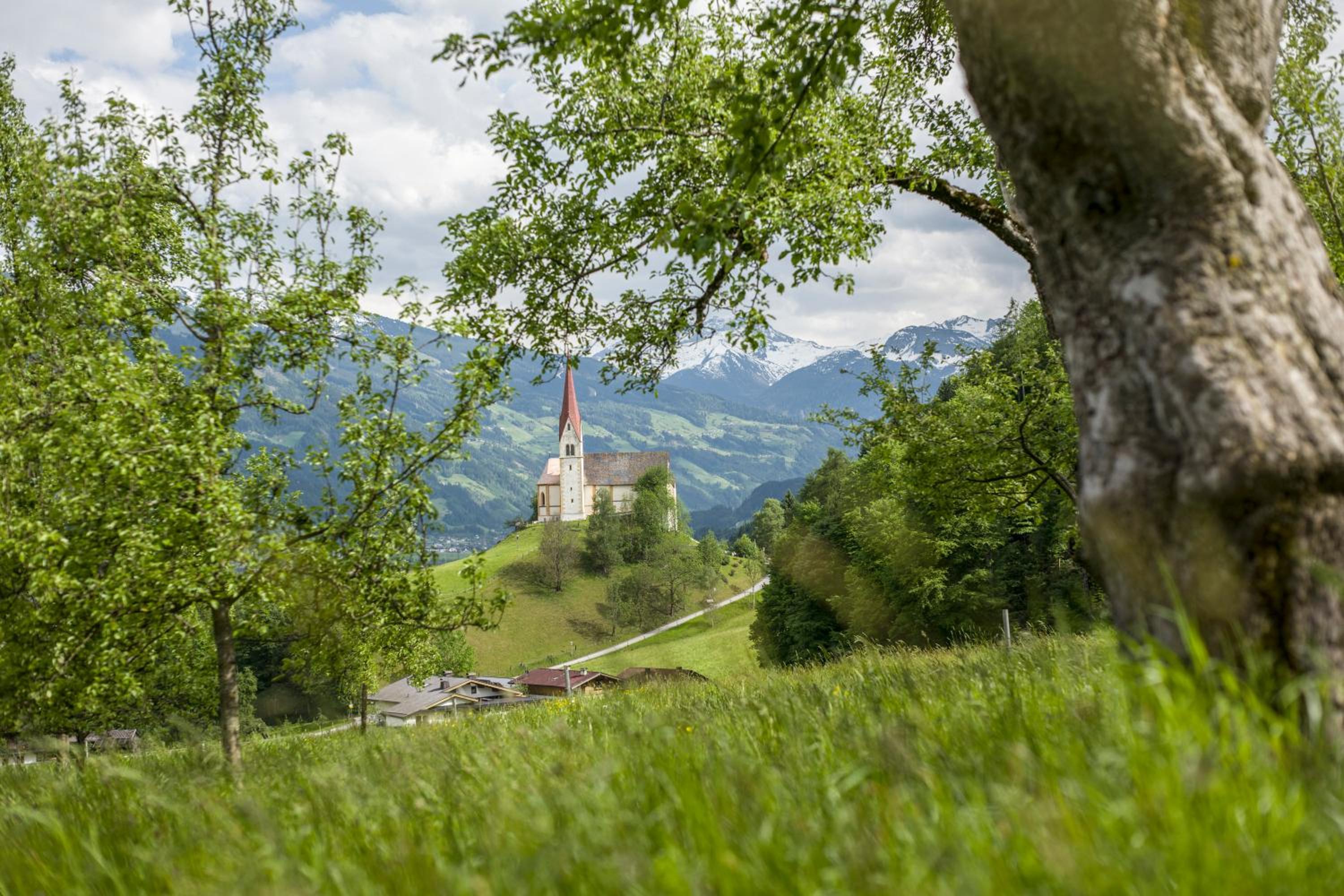 Riemenerhof